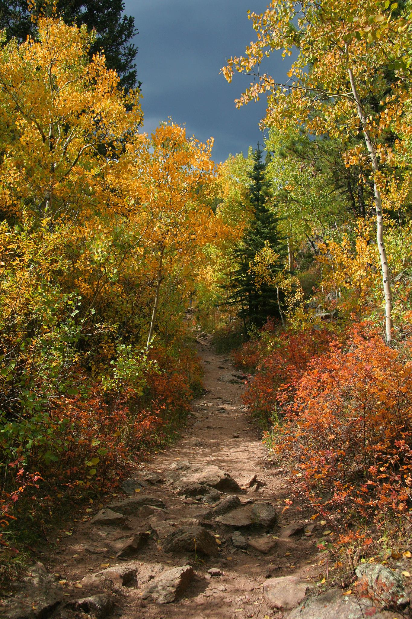 A rocky dirt path winding through a vibrant autumn forest under dark skies.
