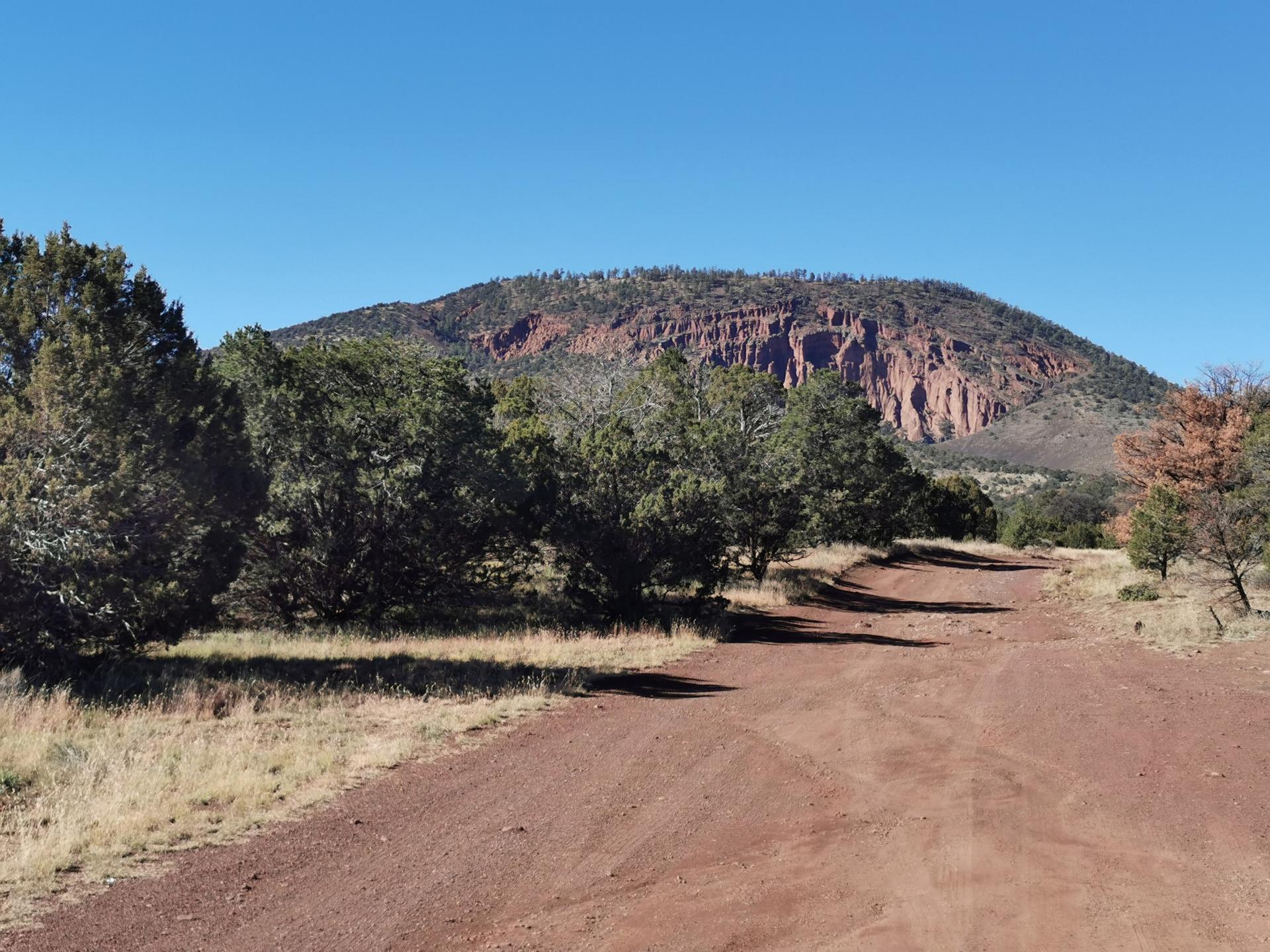 Dirt road leading to a tree-covered mountain with red rock cliffs under blue sky.