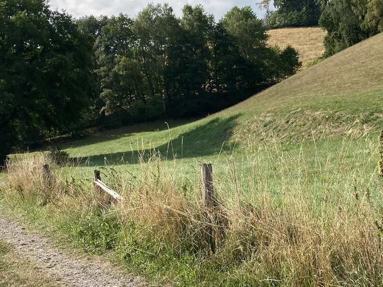Grasweg statt Schotterpiste MountainbikeTouren komoot