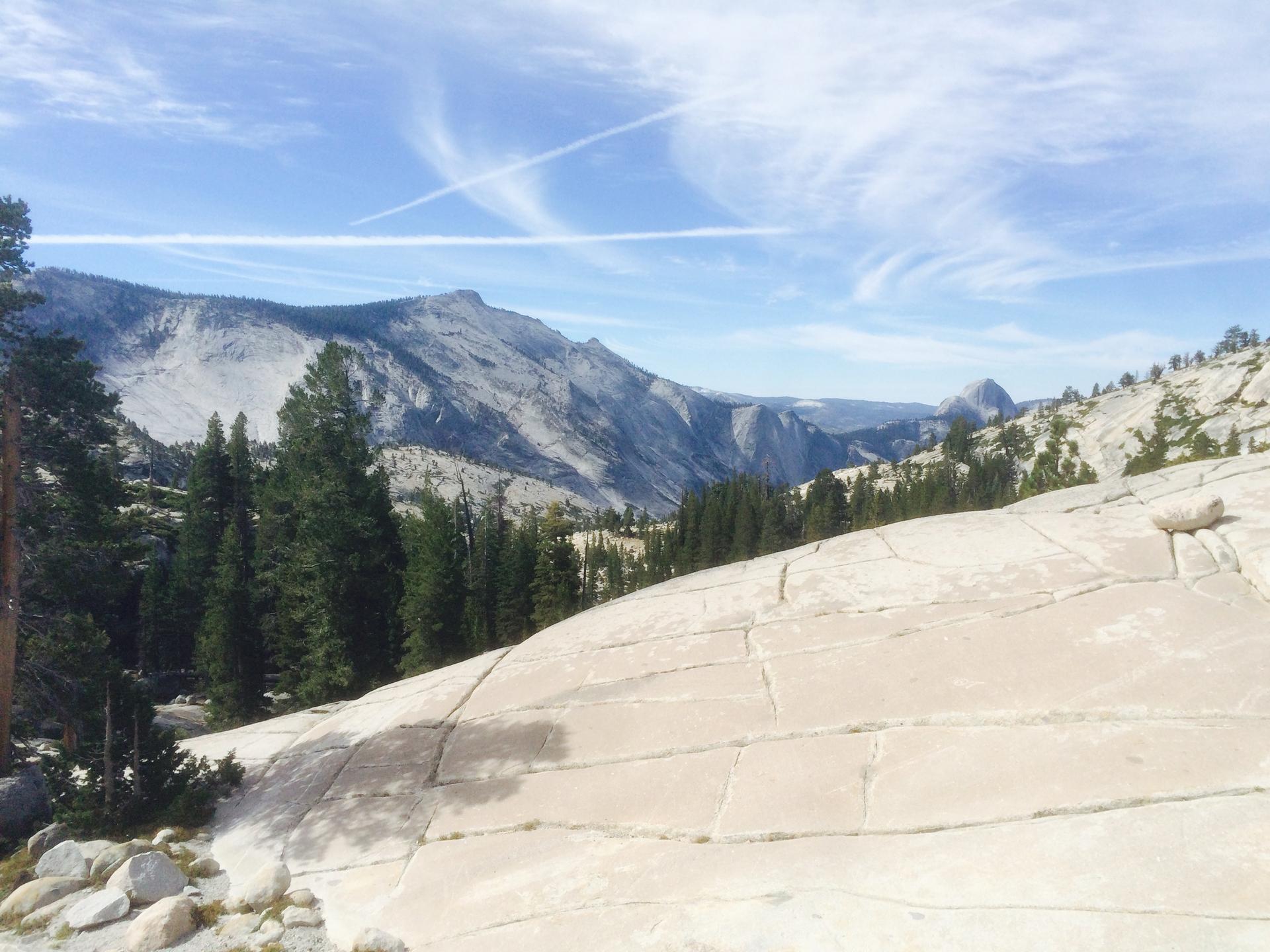 Rocky mountain landscape with evergreen trees under a bright blue sky.