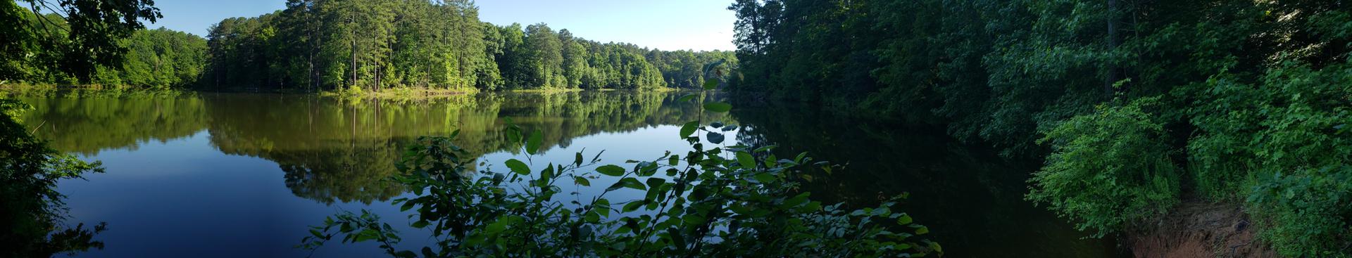 A calm lake reflecting dense green forest under a bright sky.