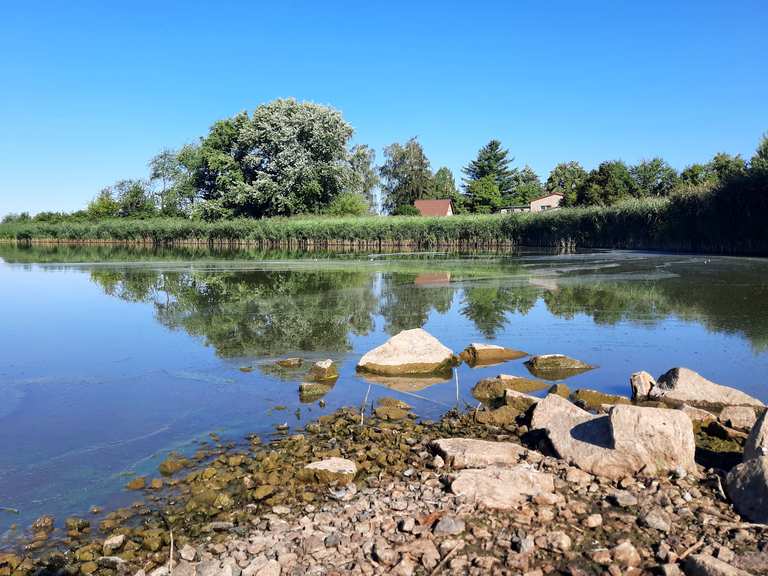 Eschefelder Teiche (Großer Teich) Wanderungen und Rundwege komoot