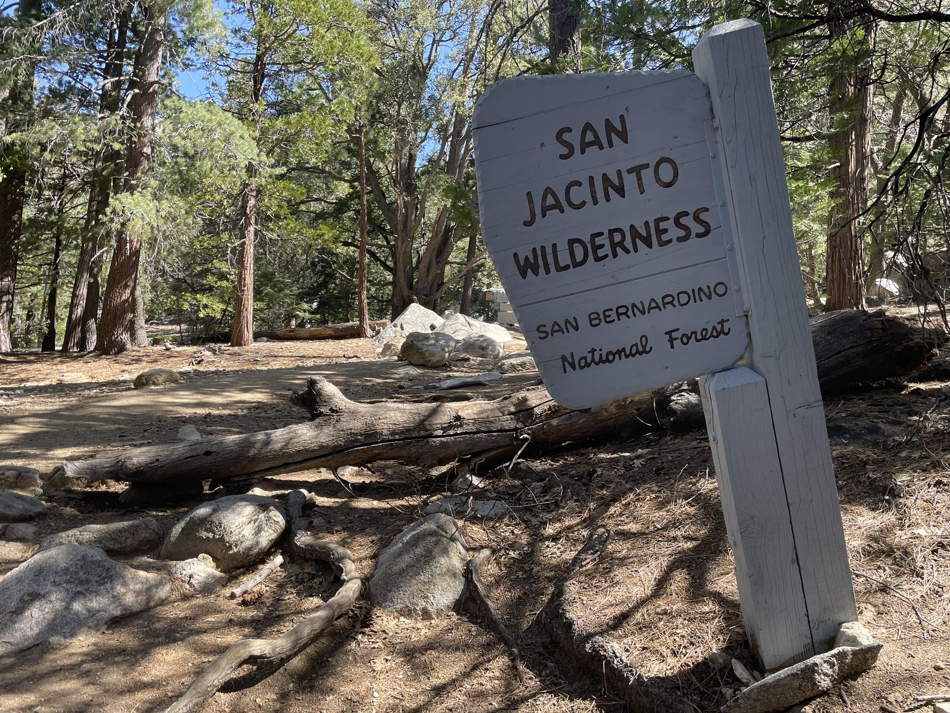 A weathered wooden sign stands in a forest clearing with fallen logs.