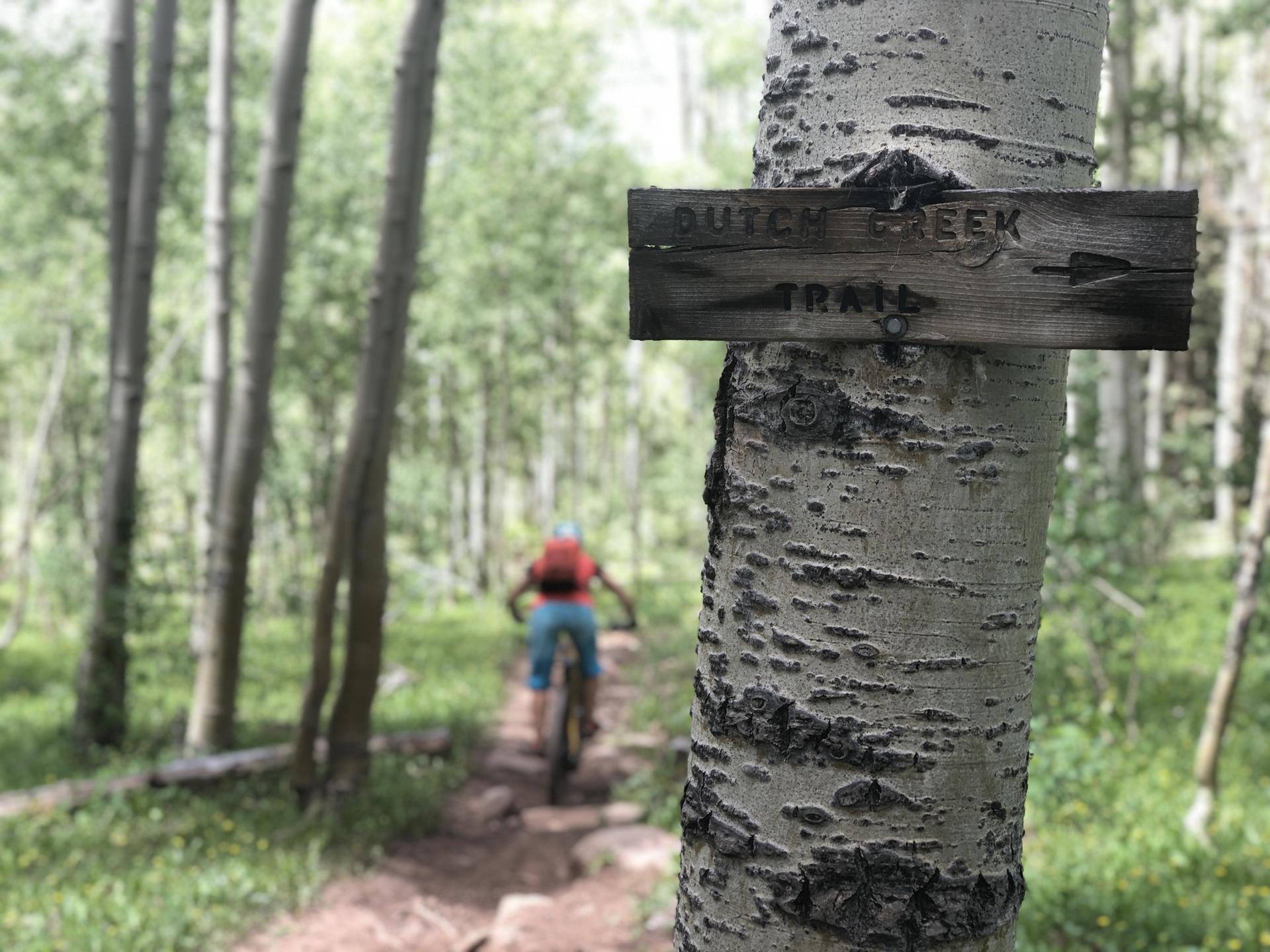 Mountain biker on a trail in an aspen forest, with a wooden sign on a tree.