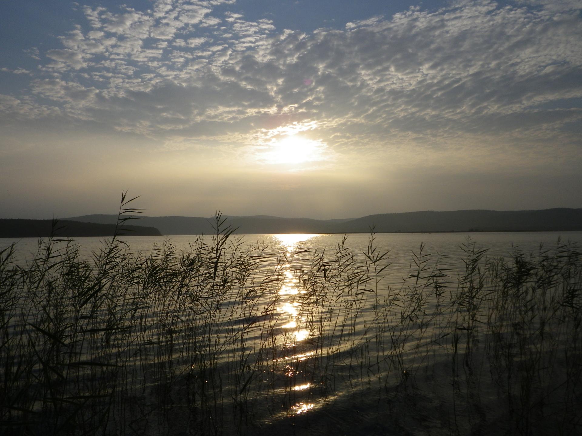 Golden sunset light reflects on water with silhouetted reeds and cloudy sky.