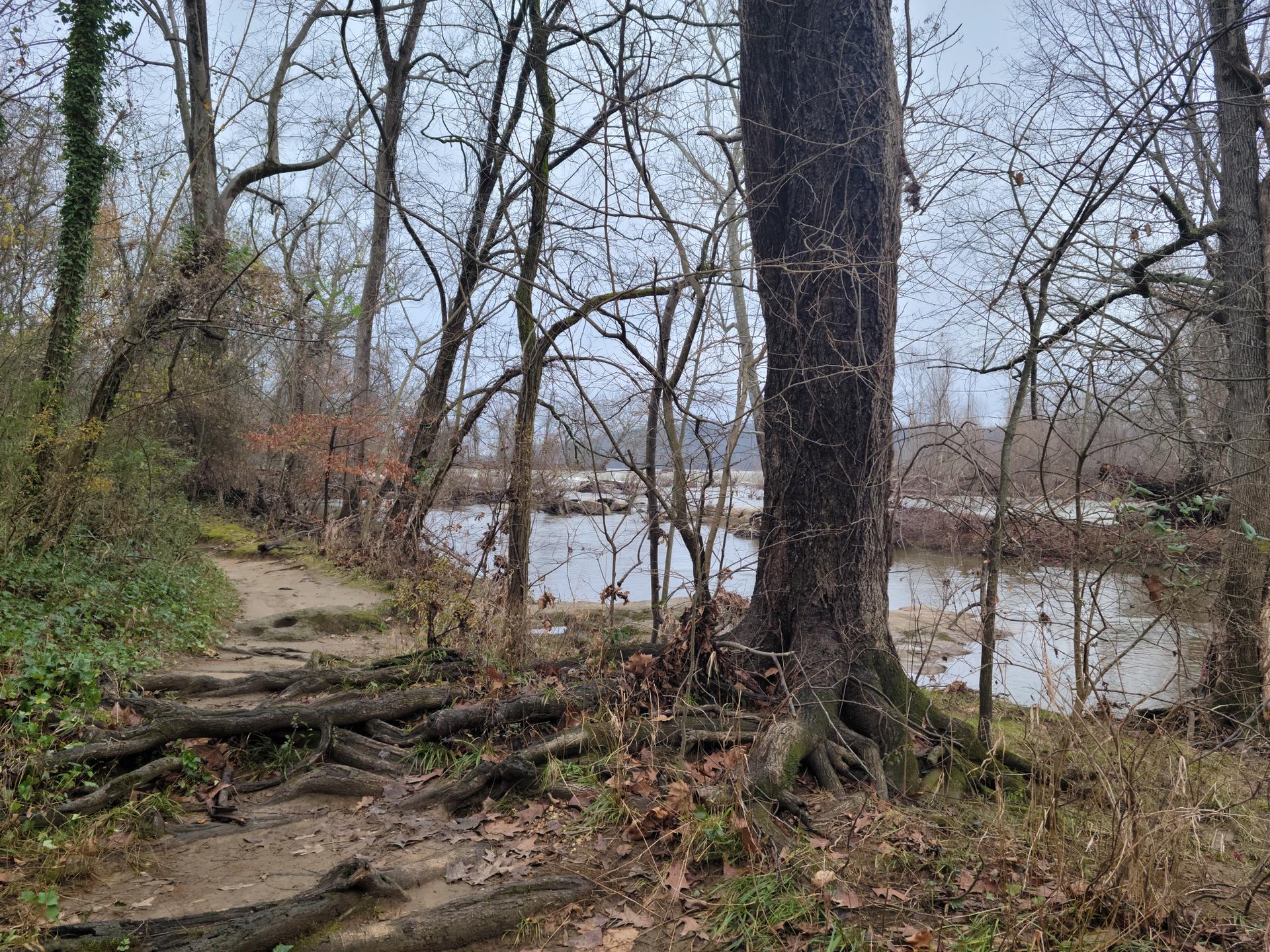 A dirt path with exposed roots next to a river under an overcast sky.