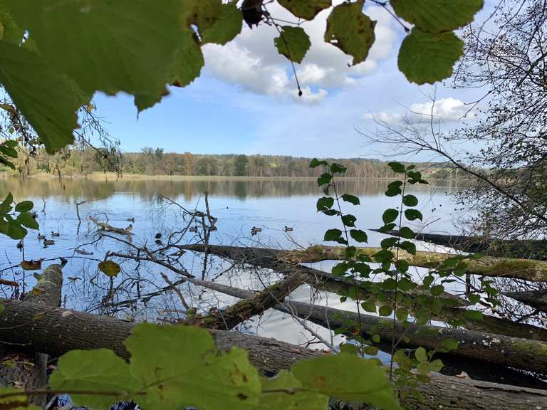 Schöner Blick auf den Katzensee Wanderungen und Rundwege komoot