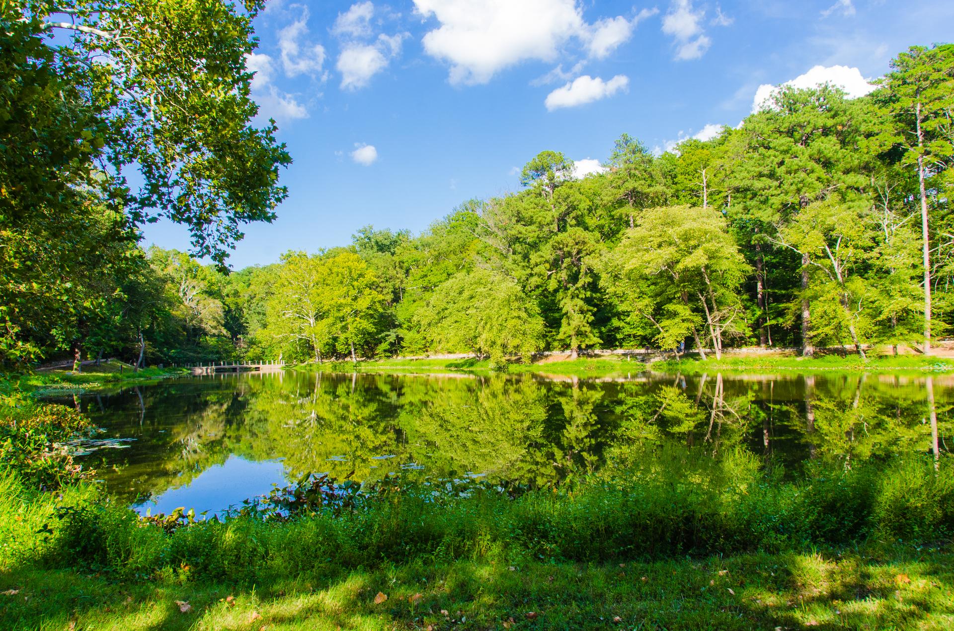 Calm lake reflecting lush green trees under a bright blue sky with white clouds.