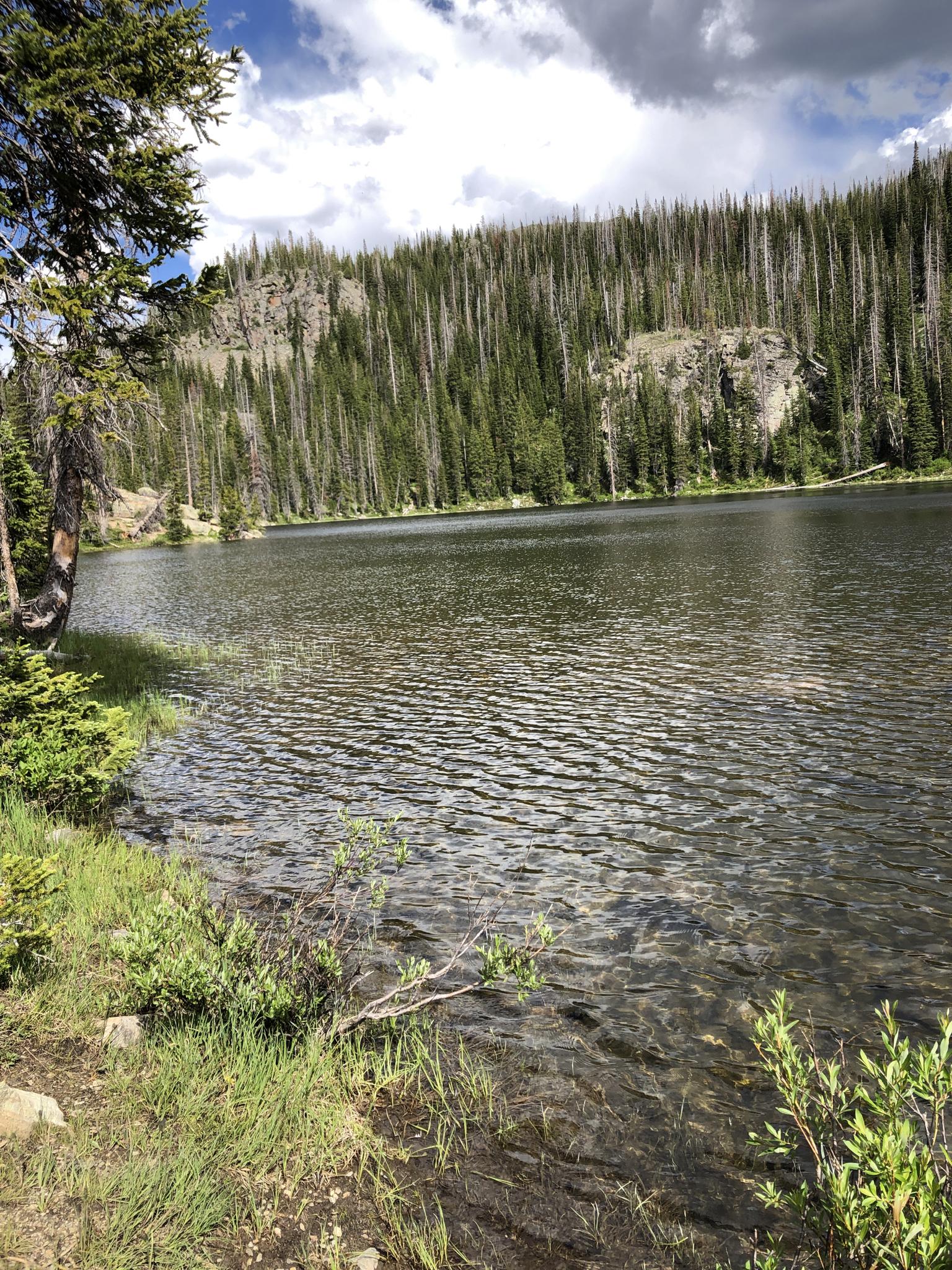 Clear lake with forested hills and a cloudy sky.