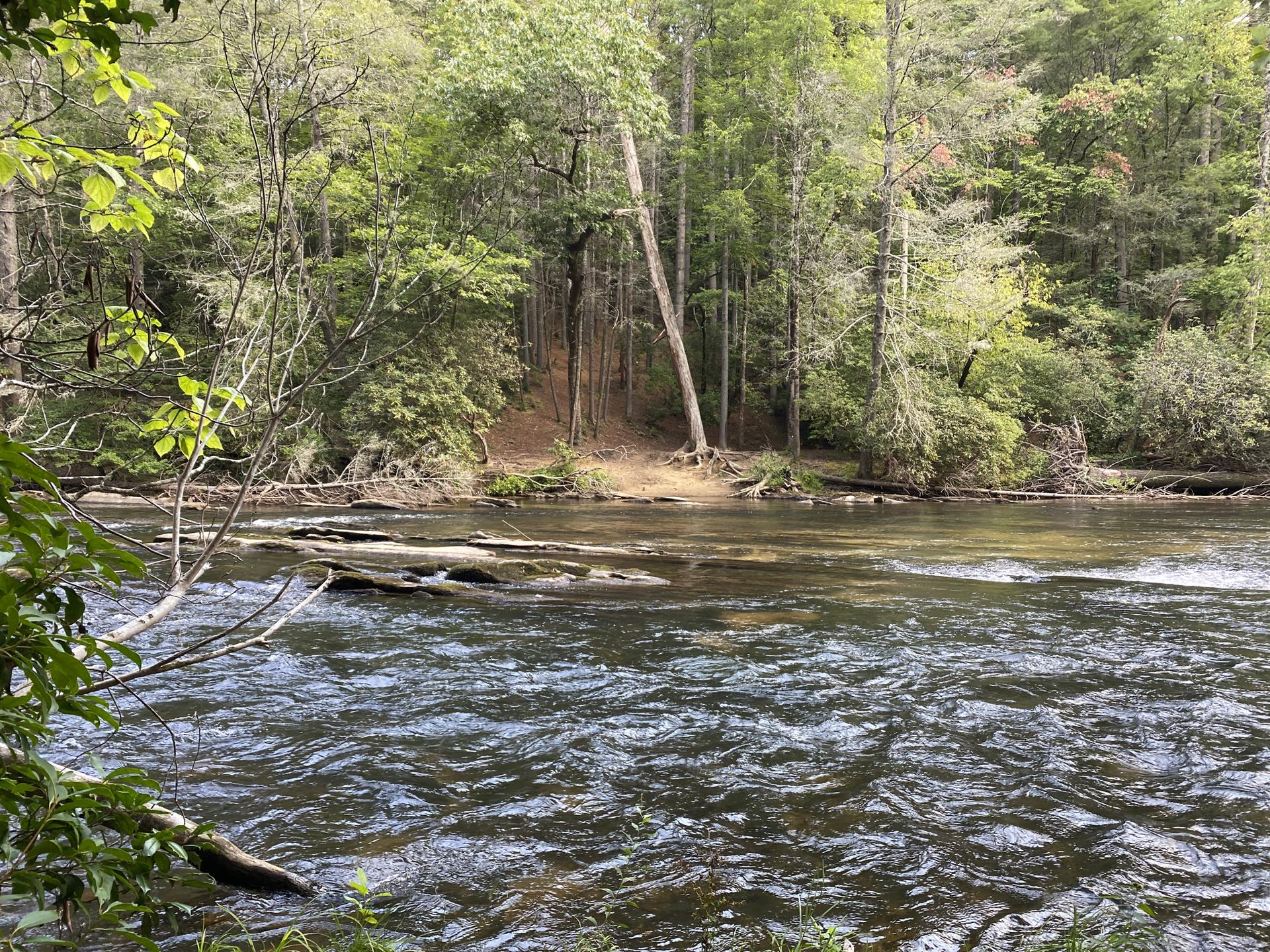 A wide river with small rapids, bordered by dense green forest.