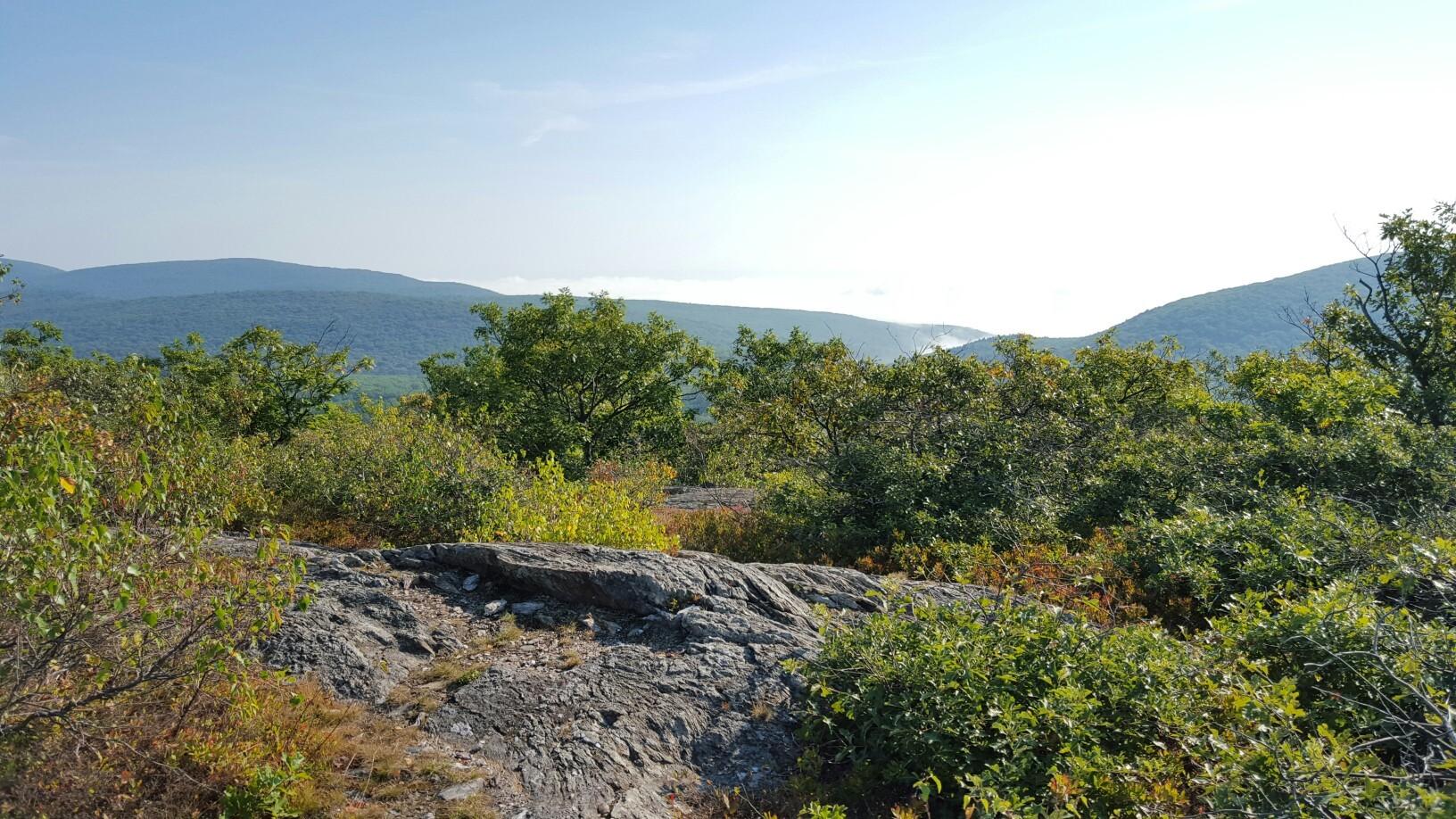 Sunny view of rocky terrain with green bushes and distant hazy mountains.