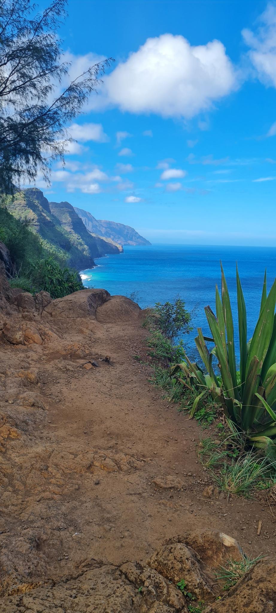 A dirt path overlooks a vibrant blue ocean and green, rugged coastal mountains.