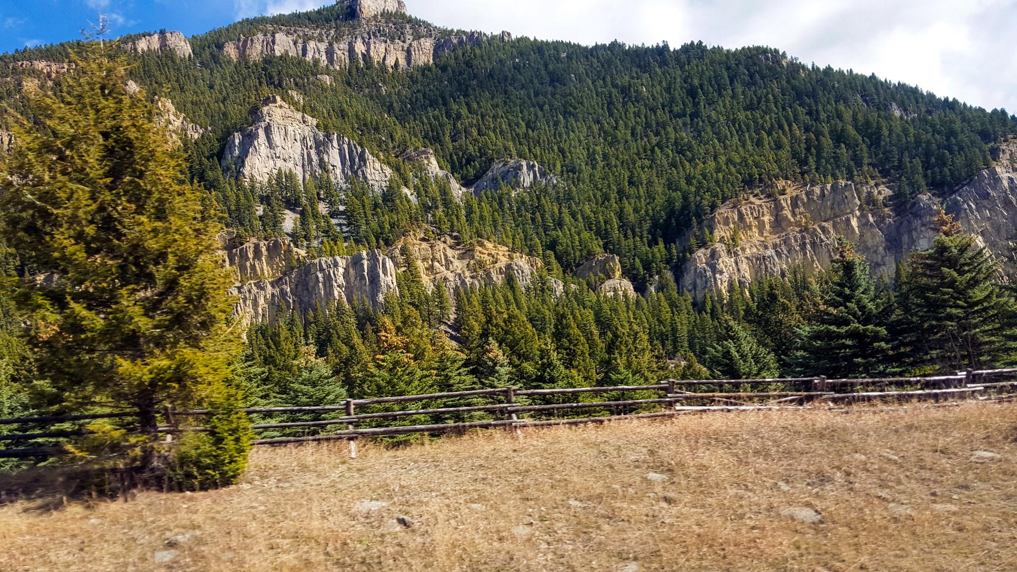 Rocky mountain cliffs with pine forest, a wooden fence, and dry grass.