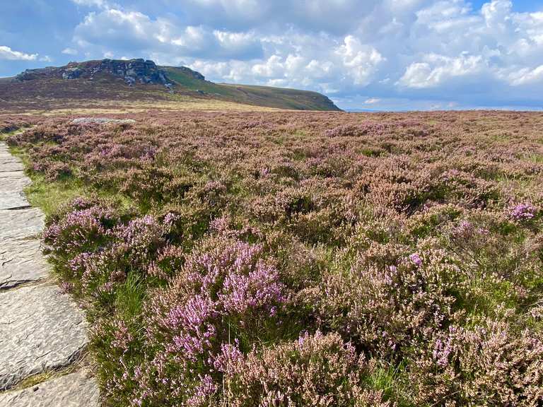 Simonside loop near Thropton — Northumberland National Park | hike | Komoot