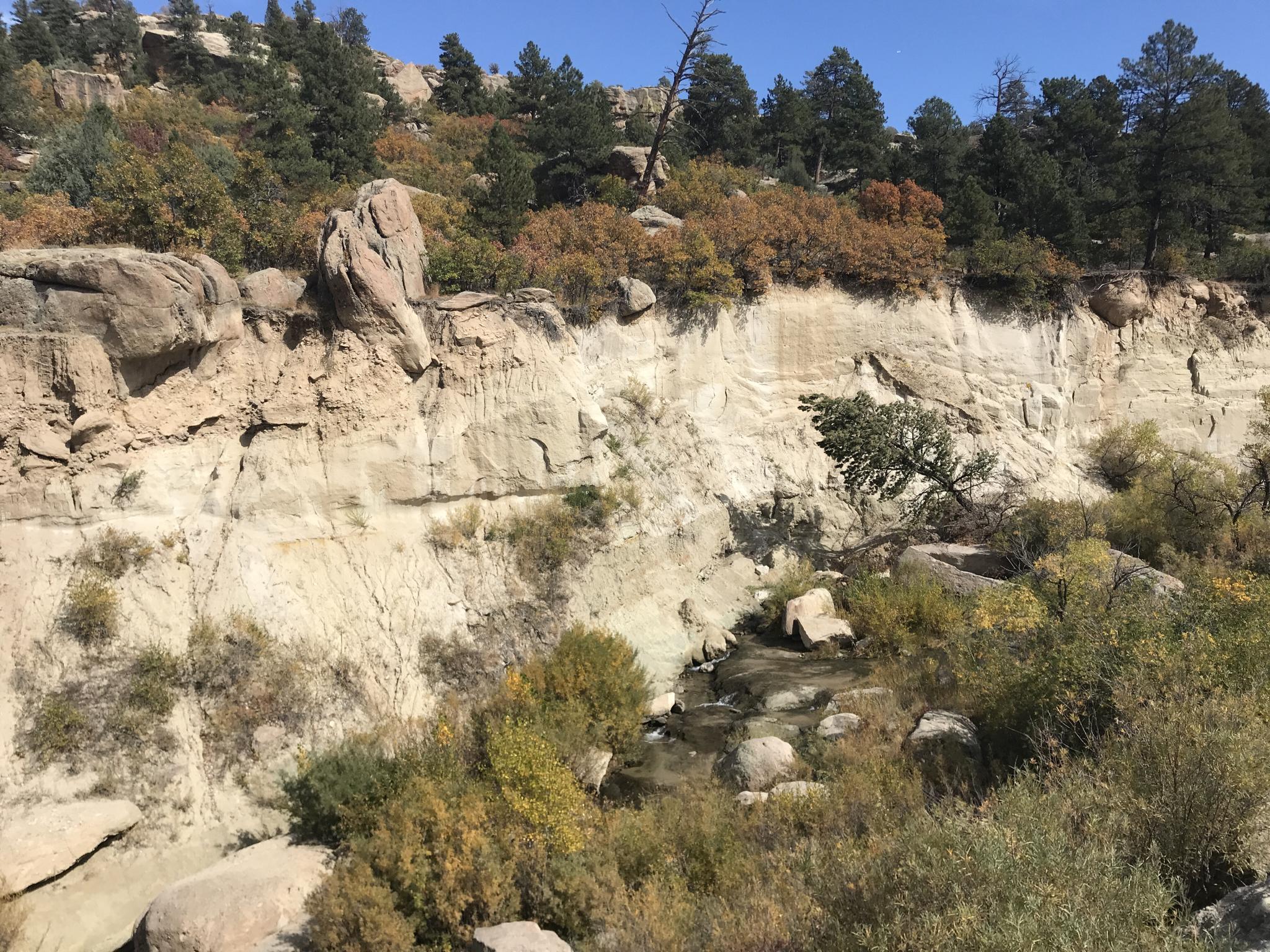Rocky cliff face with a stream below, surrounded by trees and bushes.