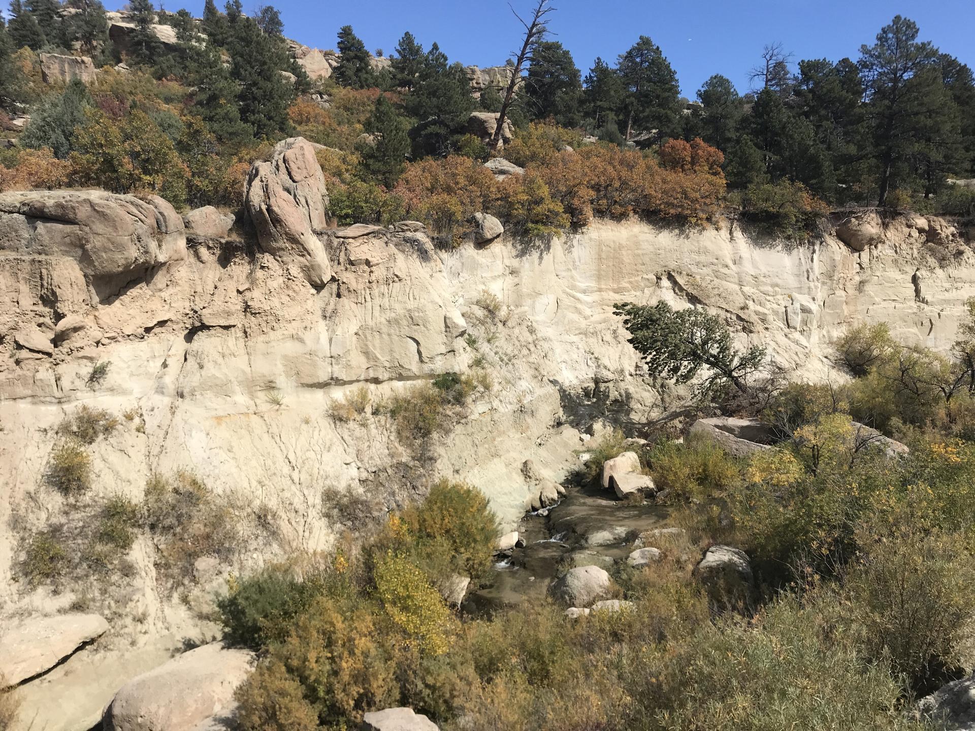 Rocky cliff face with a stream below, surrounded by trees and bushes.