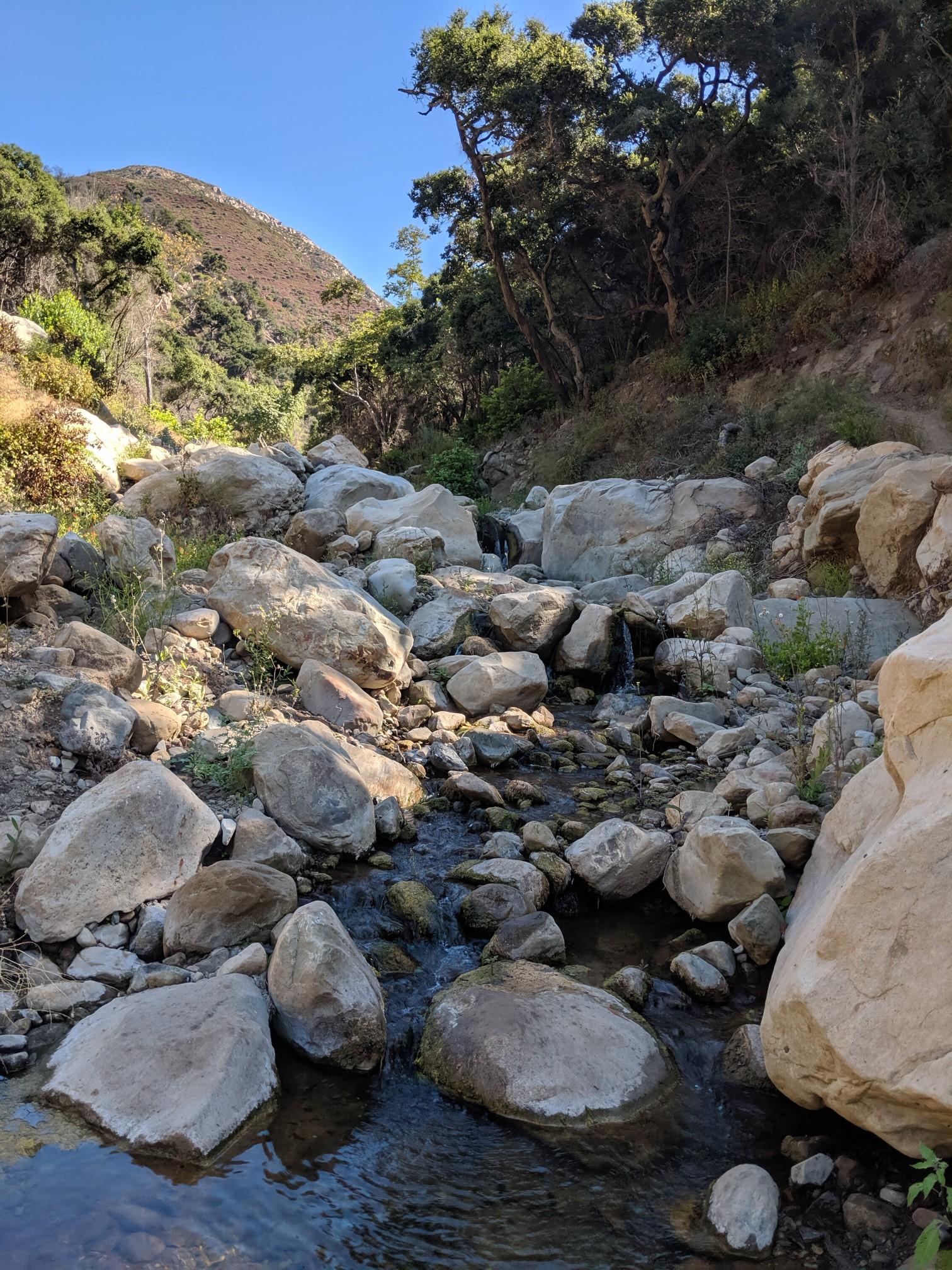 Rocky stream flowing through a sunlit canyon with lush trees.