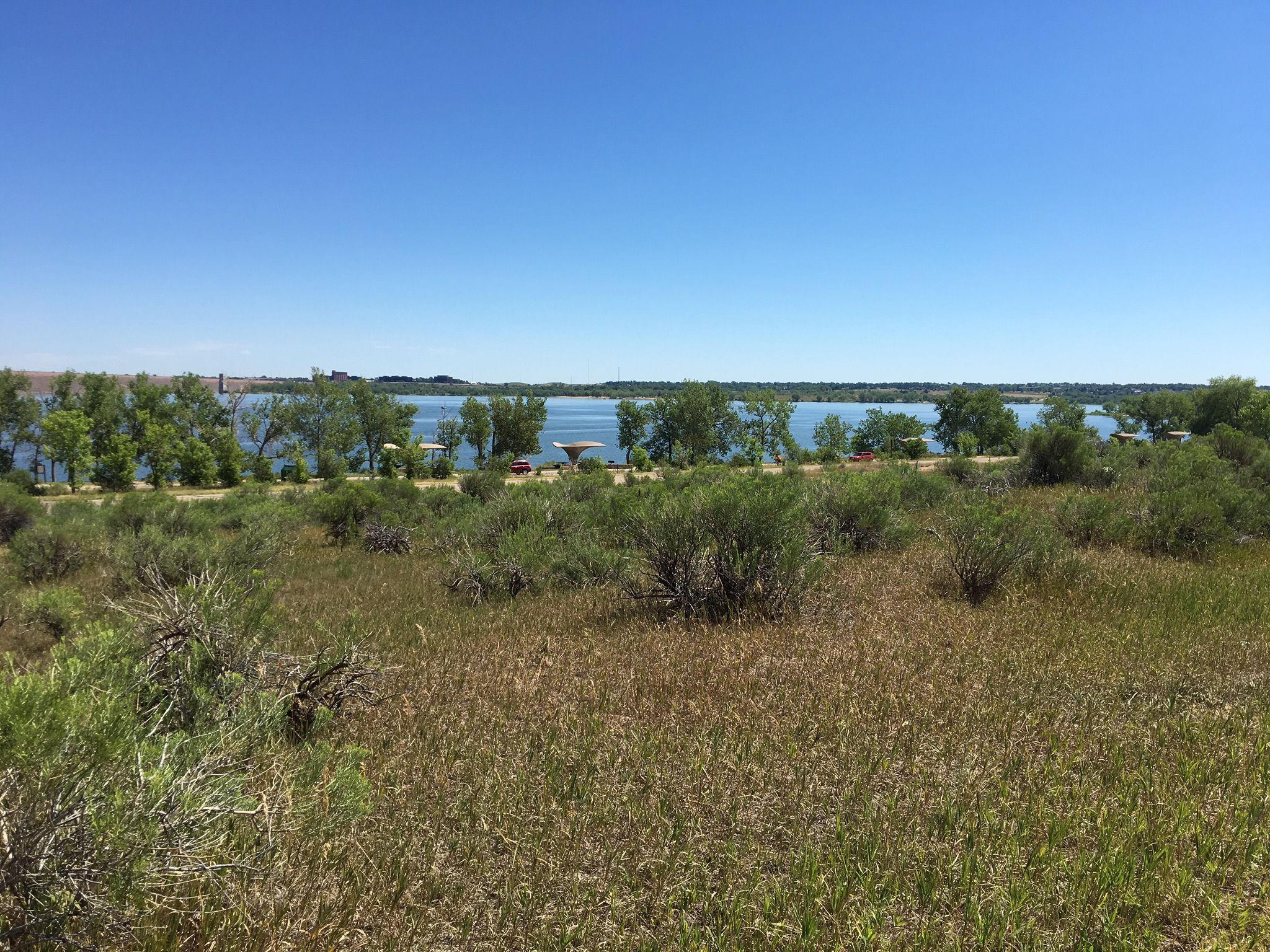 Sunny view of a lake bordered by trees, with dry grassy foreground. - Cherry Creek Reservoir – View of Cherry Creek Reservoir loop from Central Park