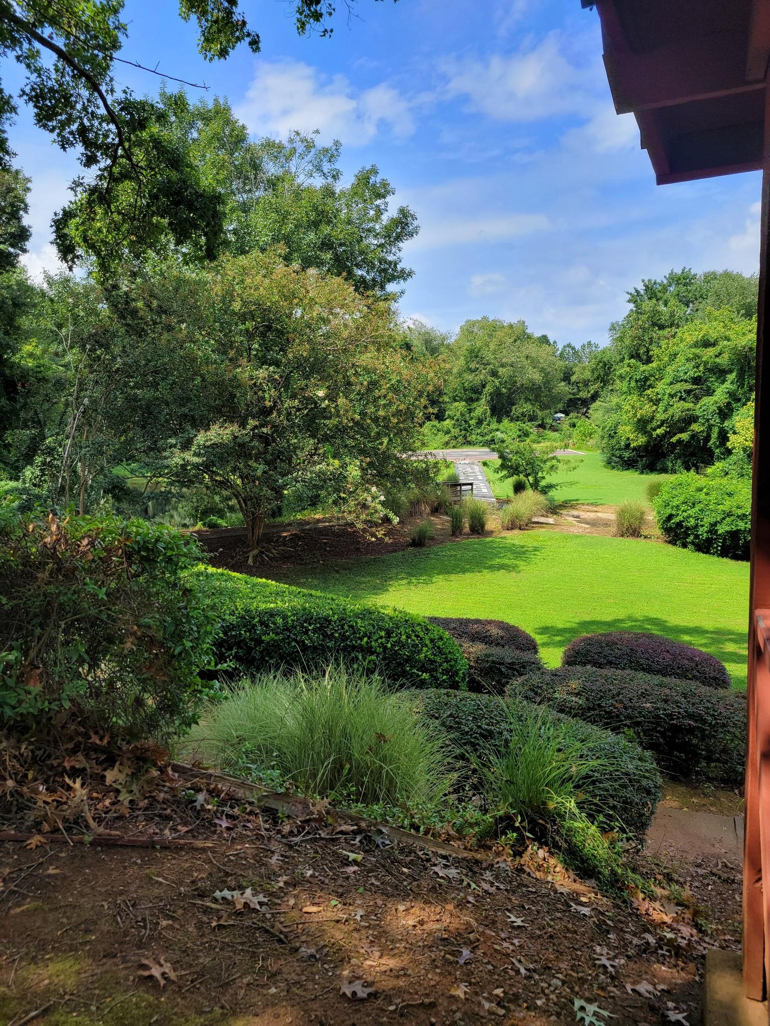 Sunny green lawn with trees and manicured shrubs, viewed from a shaded area.