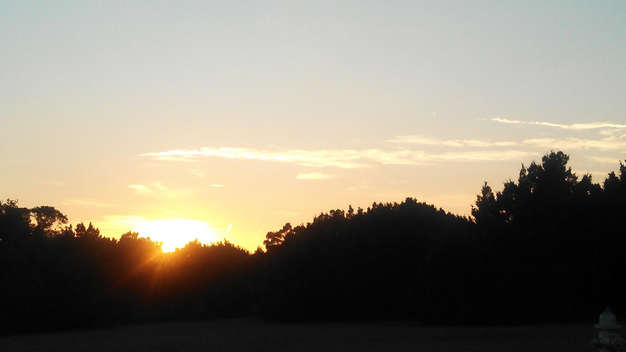 Golden sunset peeking through a dark treeline with a clear sky.