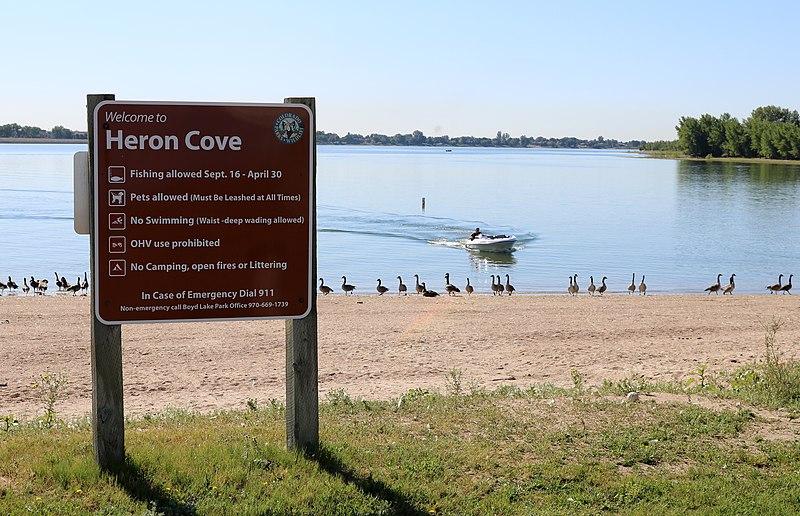 A brown sign on a sandy beach next to a lake with a boat and geese.