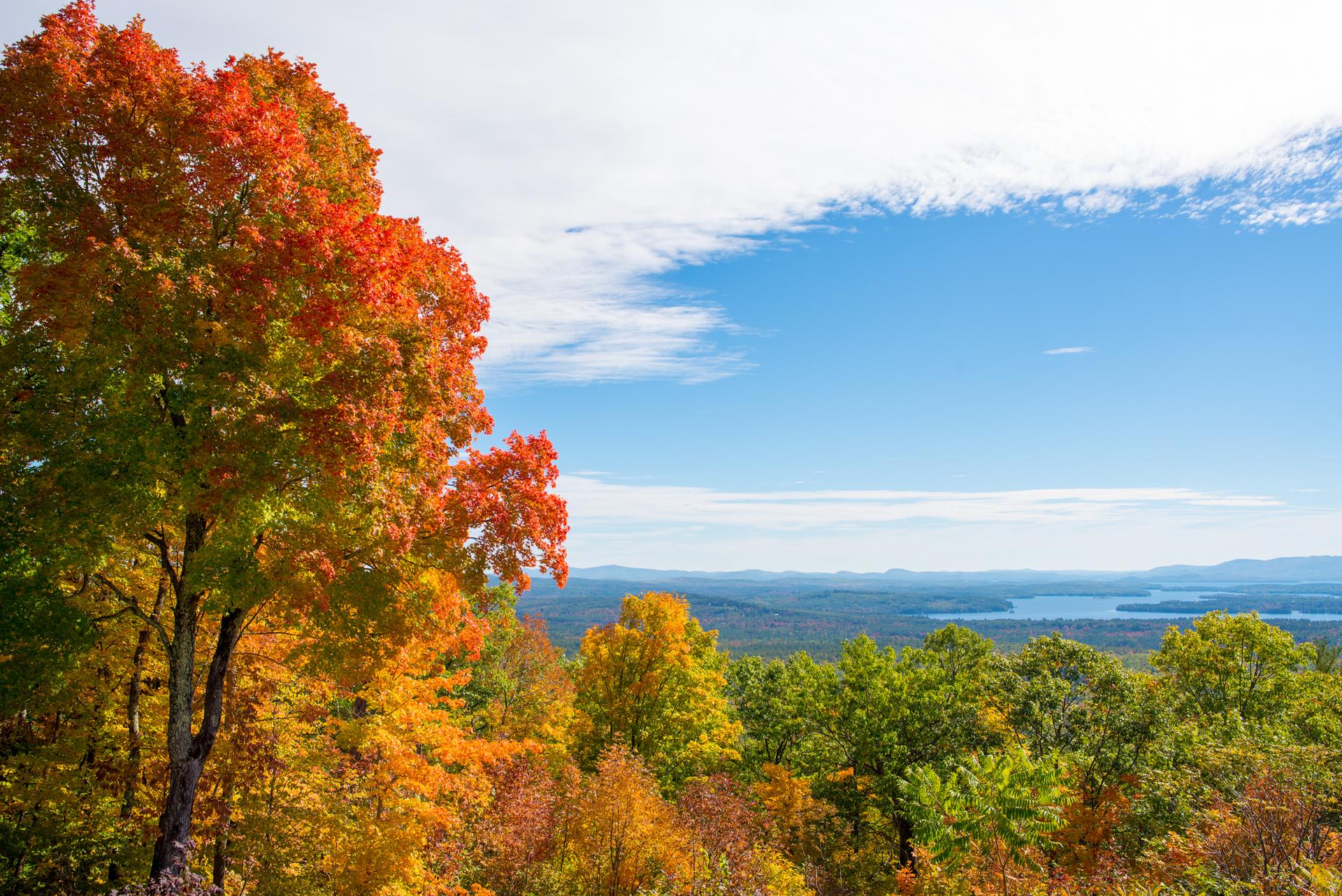 Vibrant autumn trees overlook a distant lake and mountains under a bright sky.