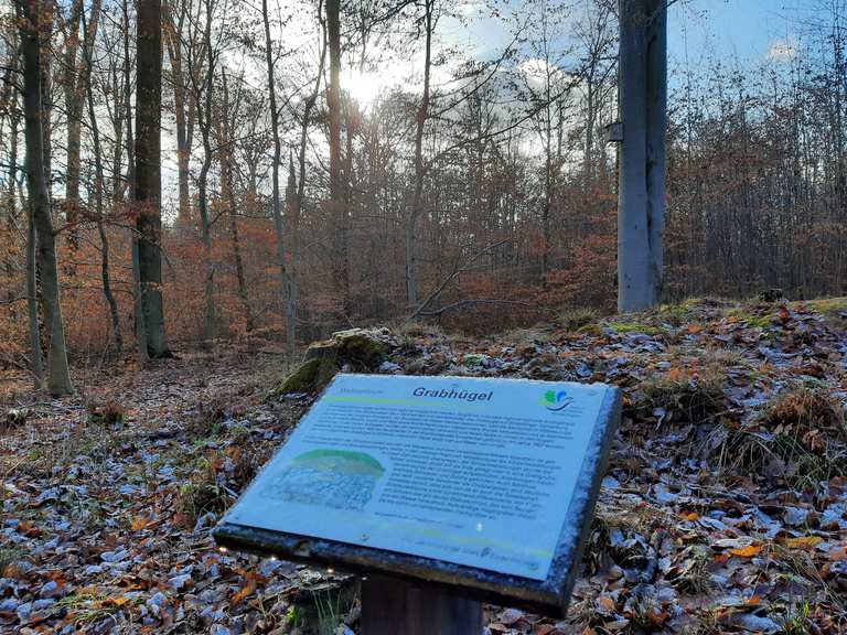 Grabhügel aus der Bronzezeit Wanderungen und Rundwege komoot