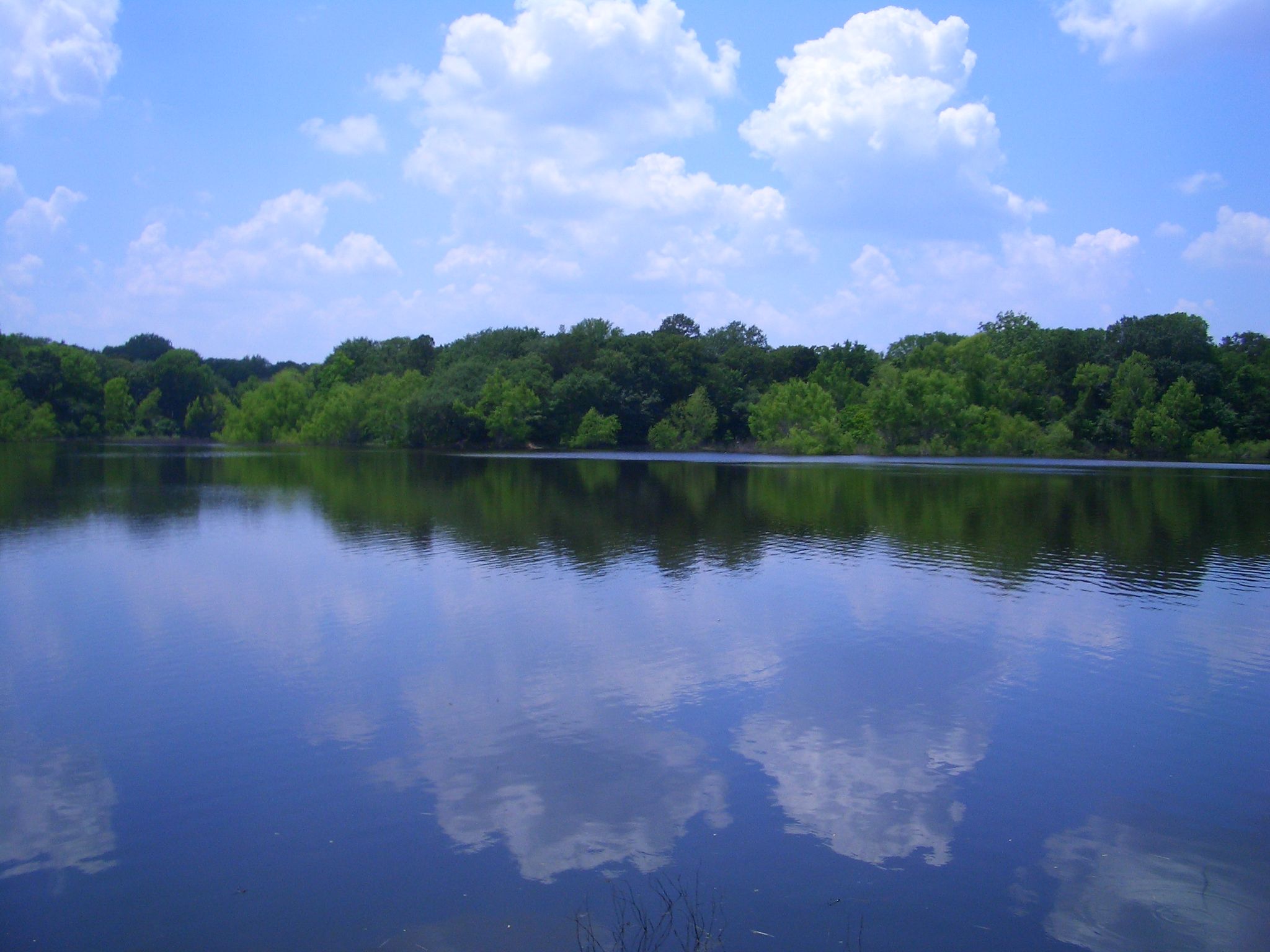 A calm lake reflecting blue sky and white clouds, surrounded by green trees. - Buescher Lake and facilities – Buescher State Park loop from Hunt Branch