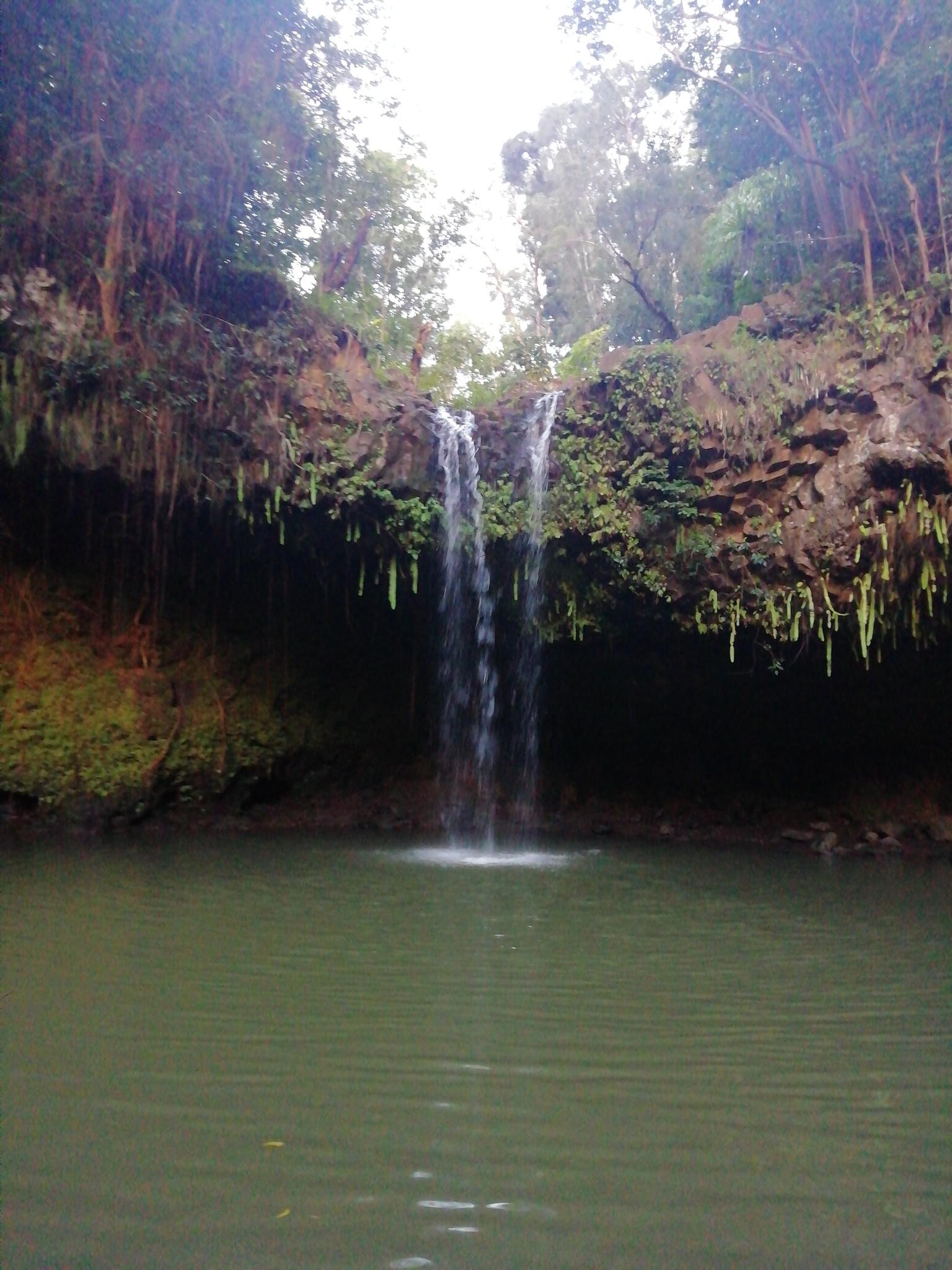A waterfall plunges into a dark pool from a lush, overhanging cliff.