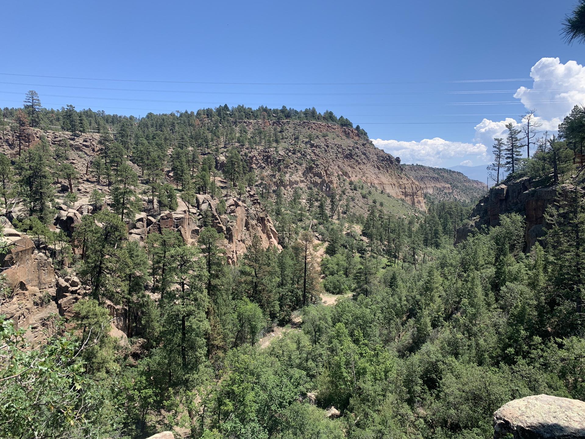 Expansive view of a deep, forested canyon under a bright blue sky.