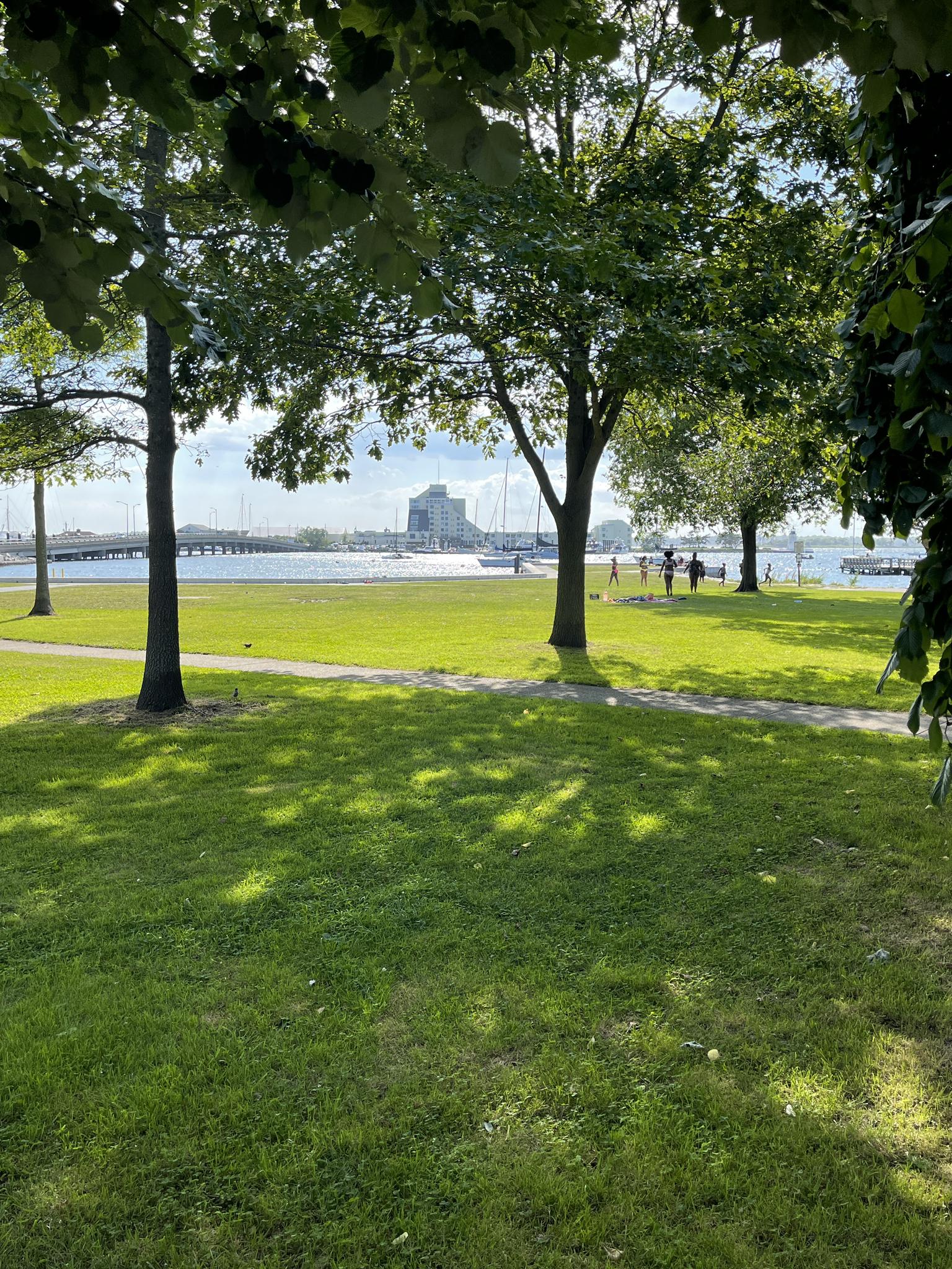 Sunny park with green grass, trees, distant water, buildings, and people walking.