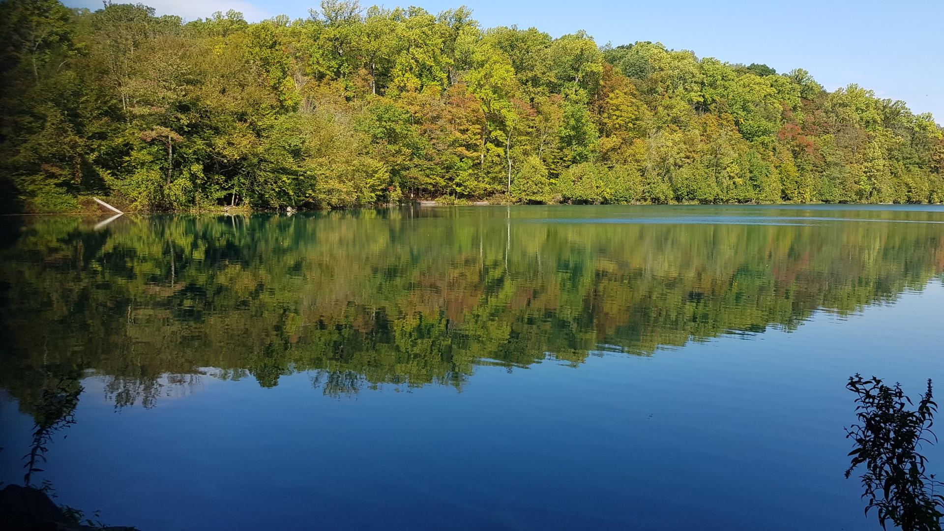 Serene lake reflecting a vibrant green and orange forest under a clear sky.