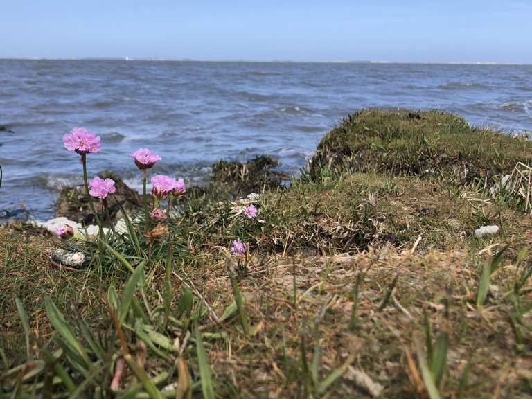 Naturstrand Hilgenriedersiel Wanderungen und Rundwege komoot