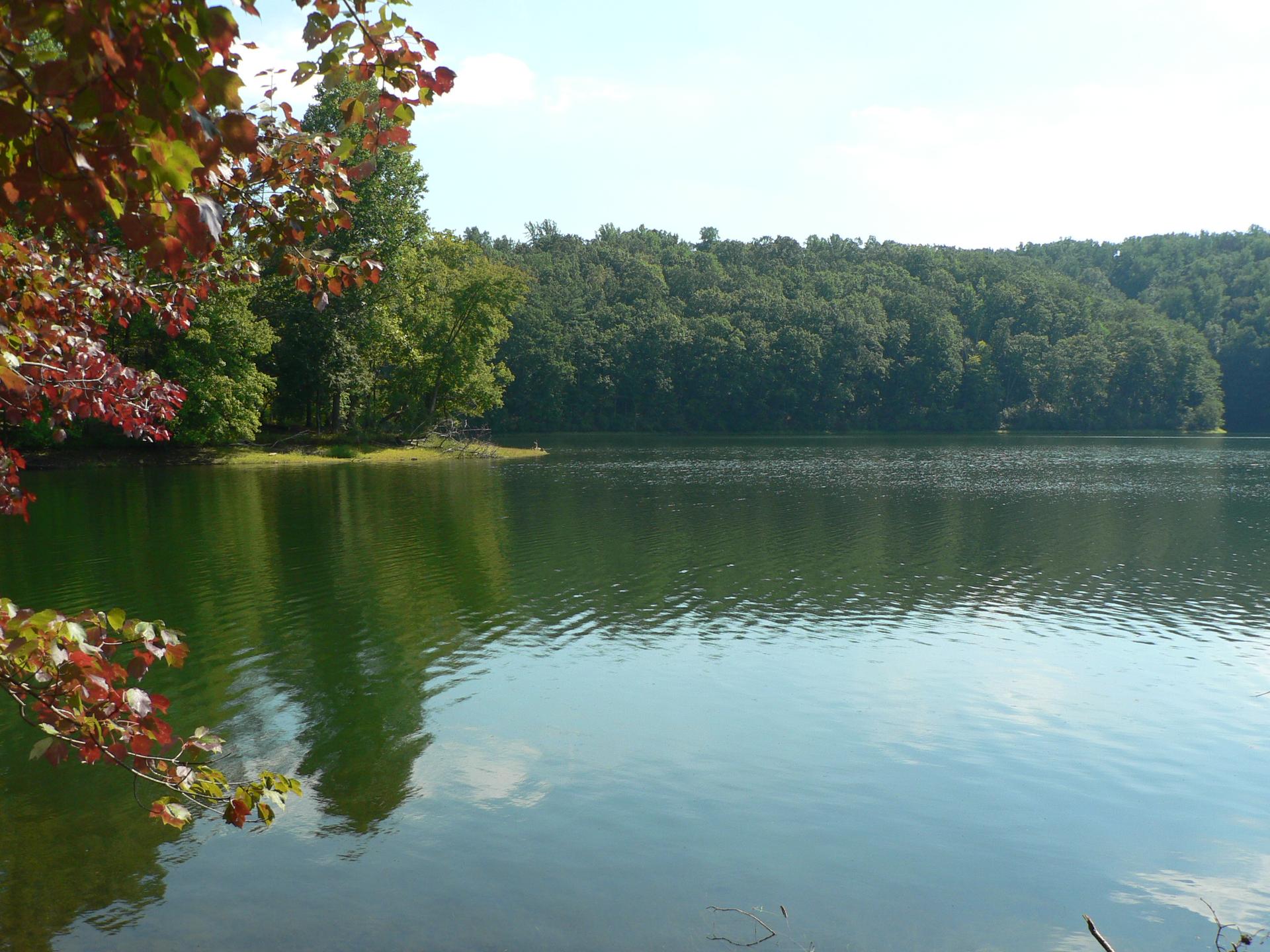 Serene lake surrounded by lush green forest under a bright sky.
