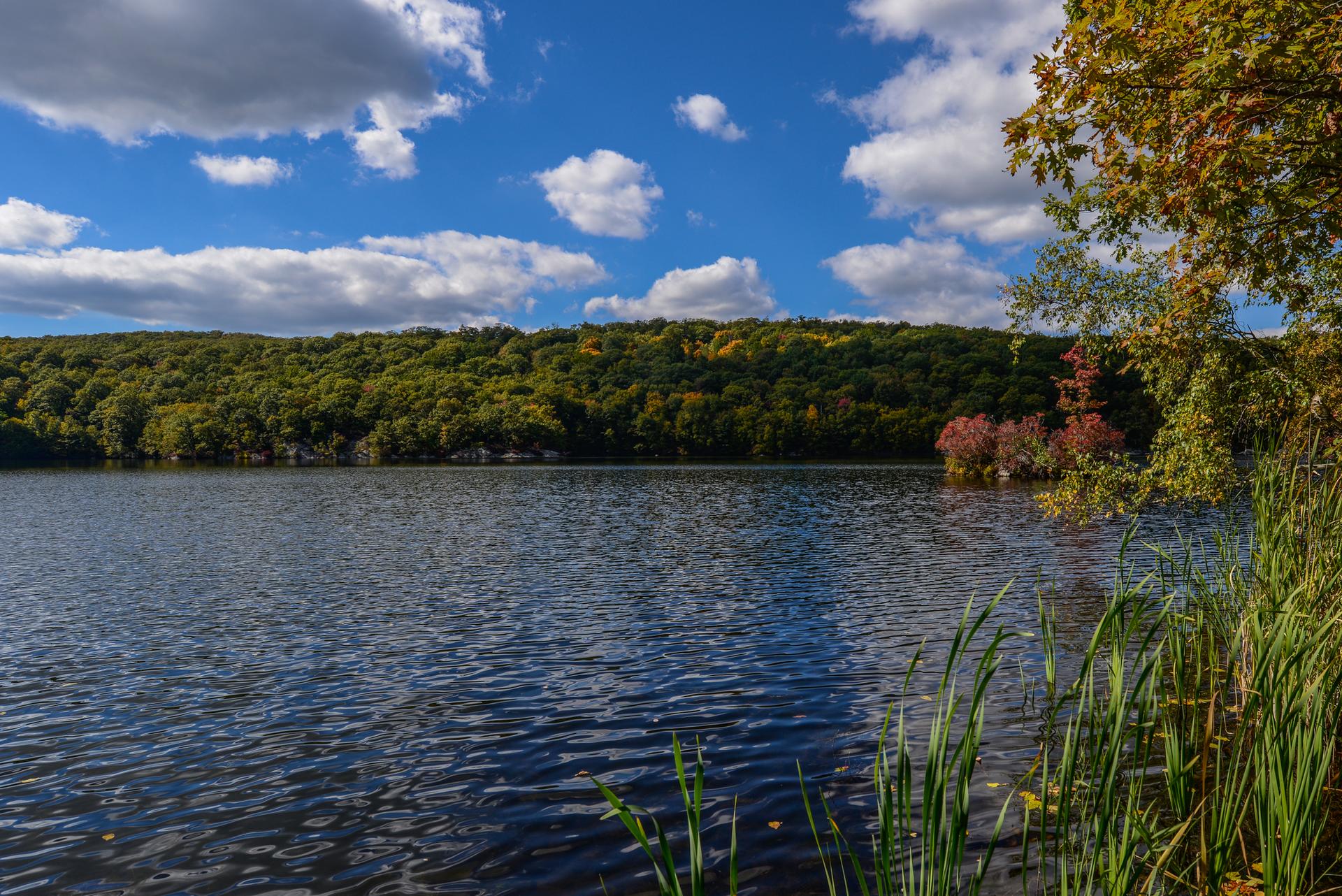 Serene lake reflecting a forested hillside under a blue sky.