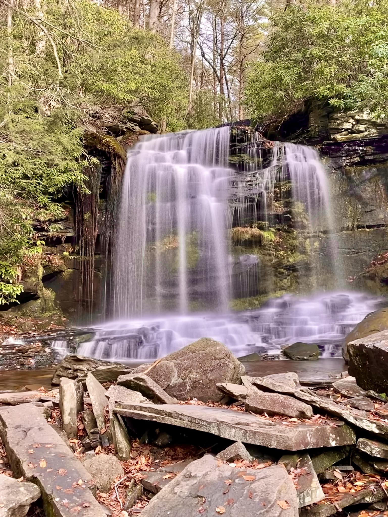 Cascading waterfall surrounded by lush forest and large rocks in the foreground.