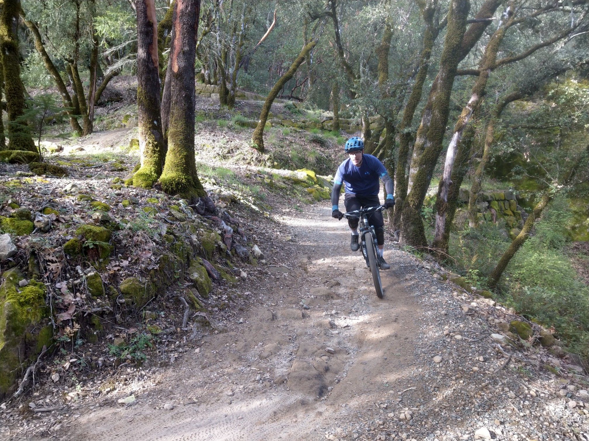 A person mountain biking on a dirt trail through a sunlit, mossy forest. - Bay Area Ridge Trail: Sanborn to Saratoga Gap