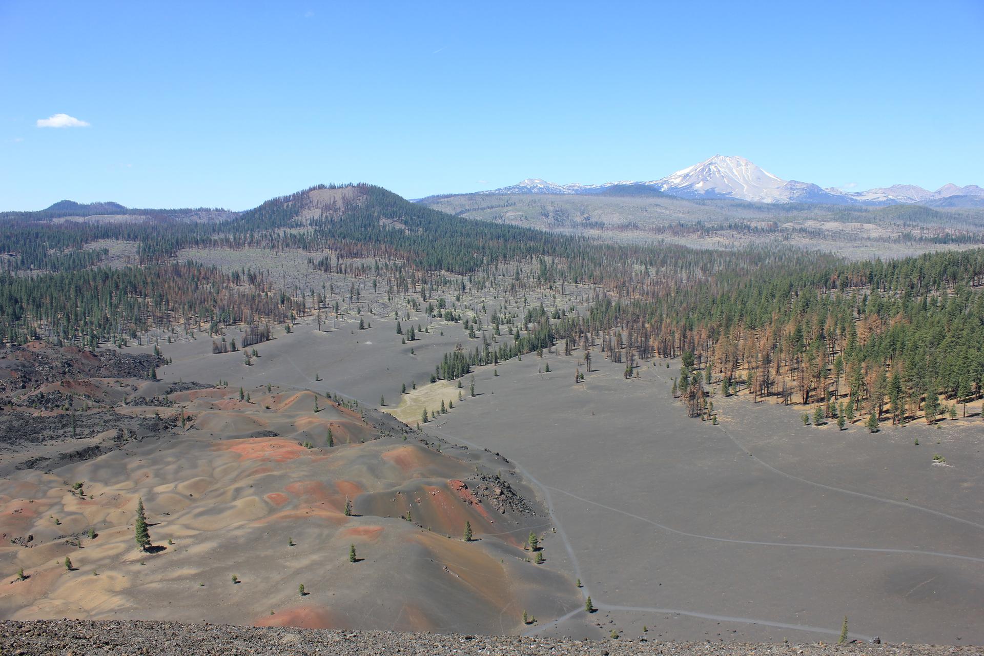 Wide landscape of dark volcanic fields, scattered trees, and a distant snow-capped peak.