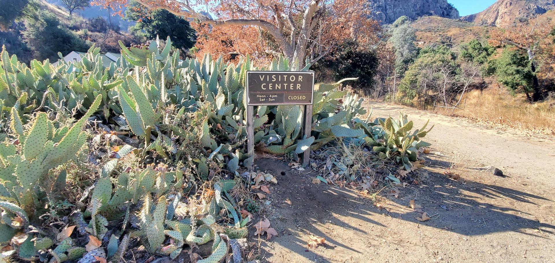 A 'Visitor Center' sign stands among desert plants on a sunny day.