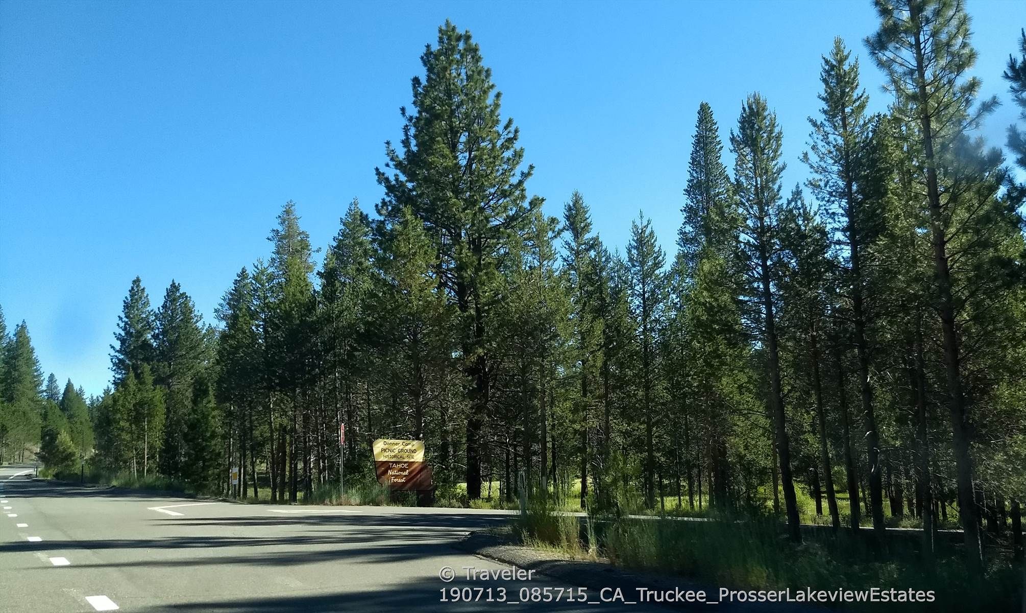A paved road with white lines next to a dense pine forest under a clear blue sky. - Prosser & Alder Creek loop