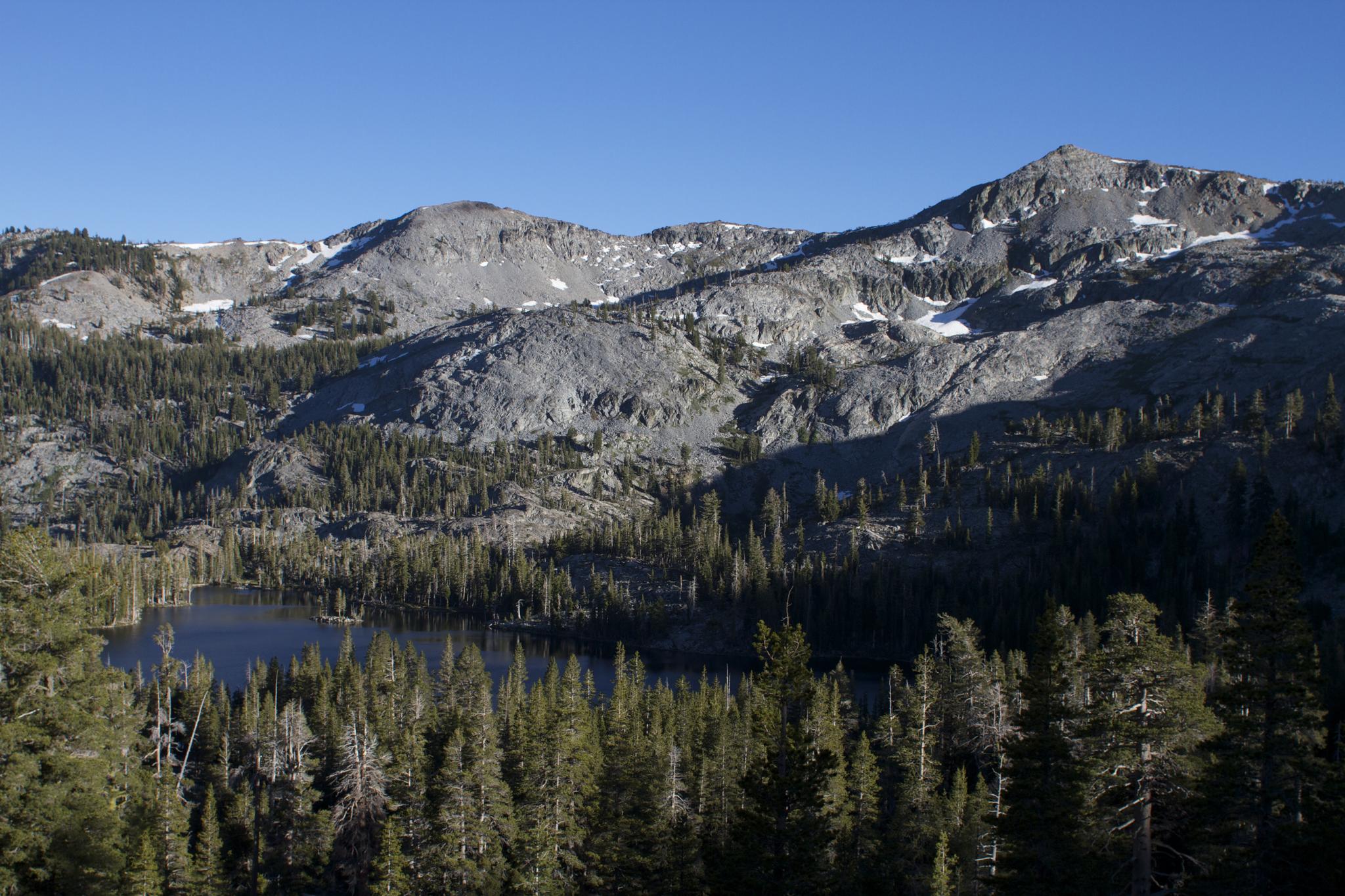 Small dark lake surrounded by dense pine forest and rocky mountains under clear sky.