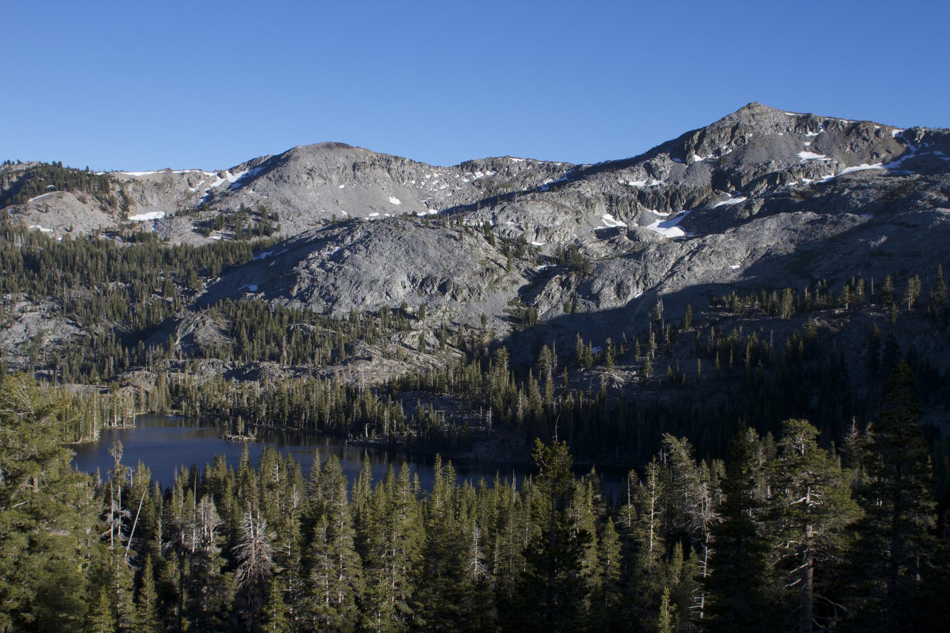 Small dark lake surrounded by dense pine forest and rocky mountains under clear sky.