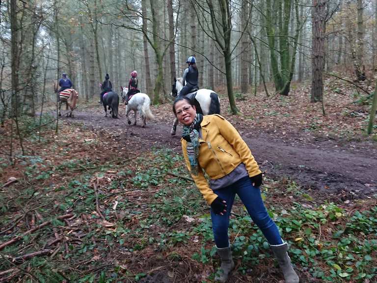 Blidworth Woods wandelroutes en hikes Komoot