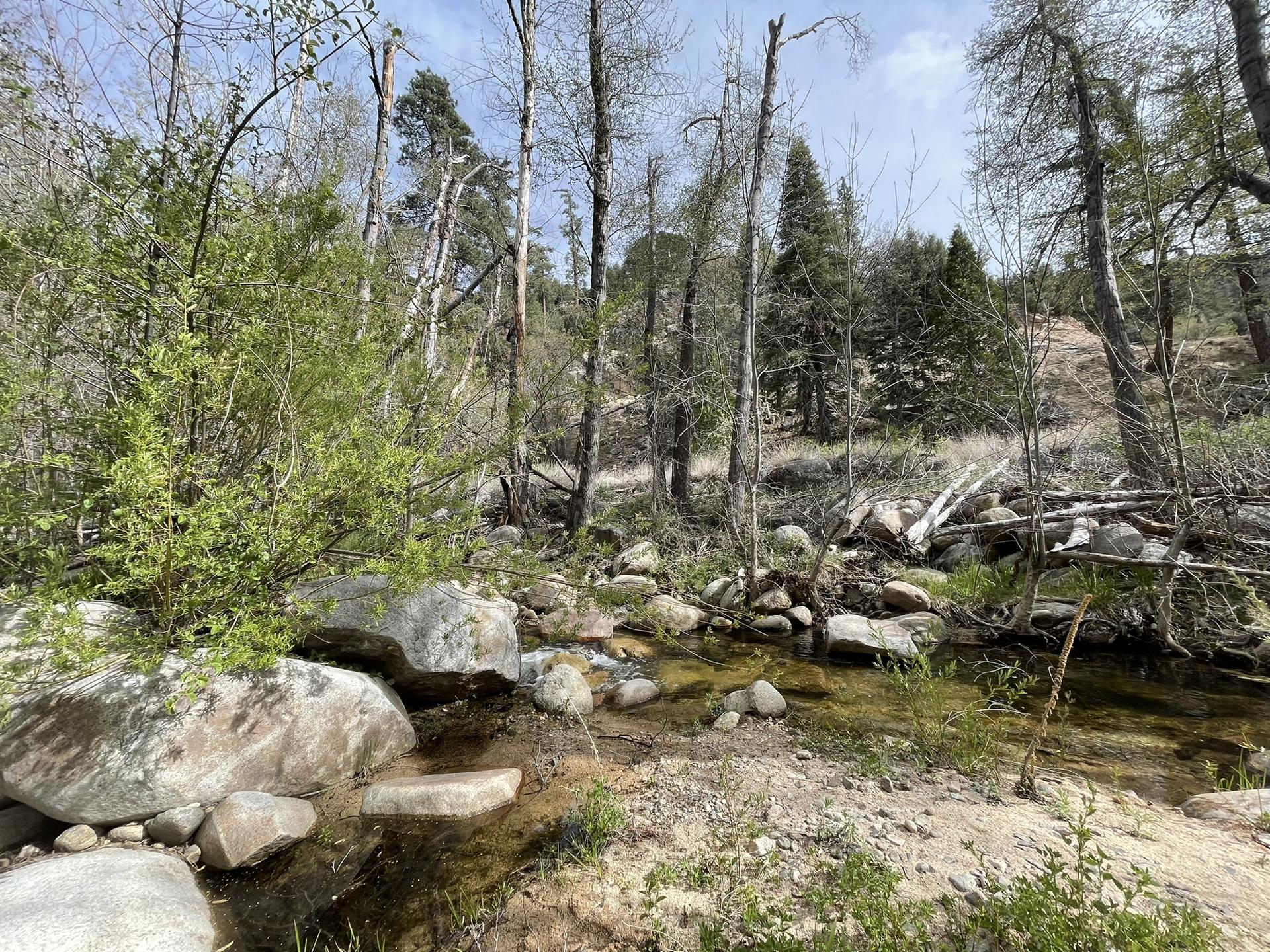 Rocky stream flowing through a wooded landscape under a cloudy sky.