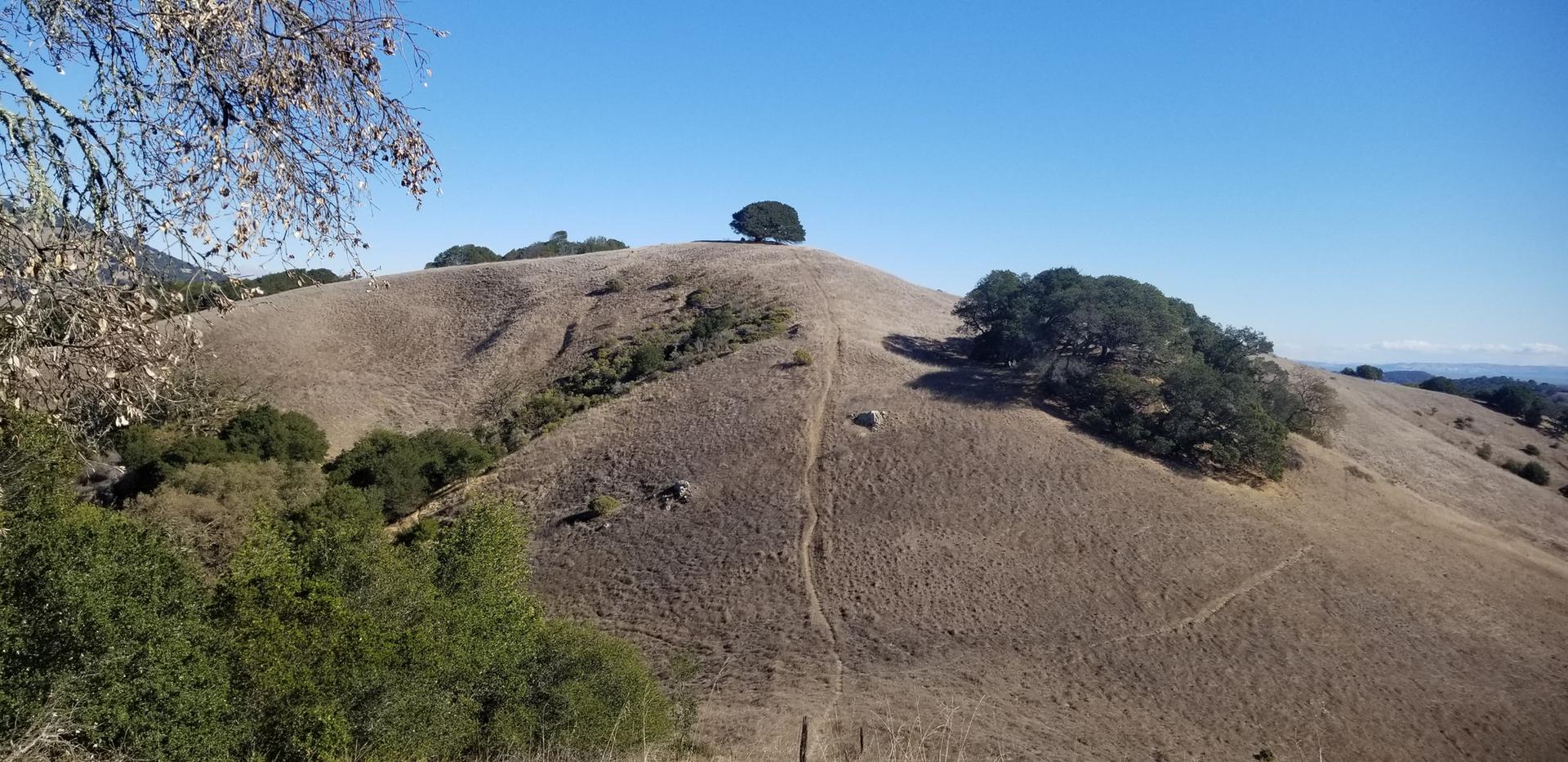 A winding path ascends dry, sunny hills with scattered trees under a clear sky.