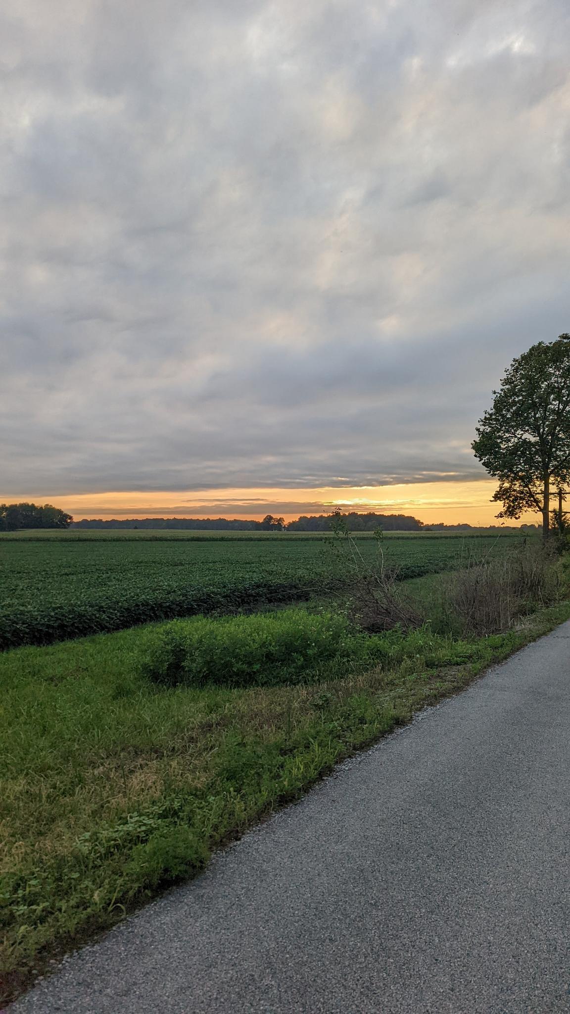 A paved path alongside green fields at sunset under a cloudy sky.