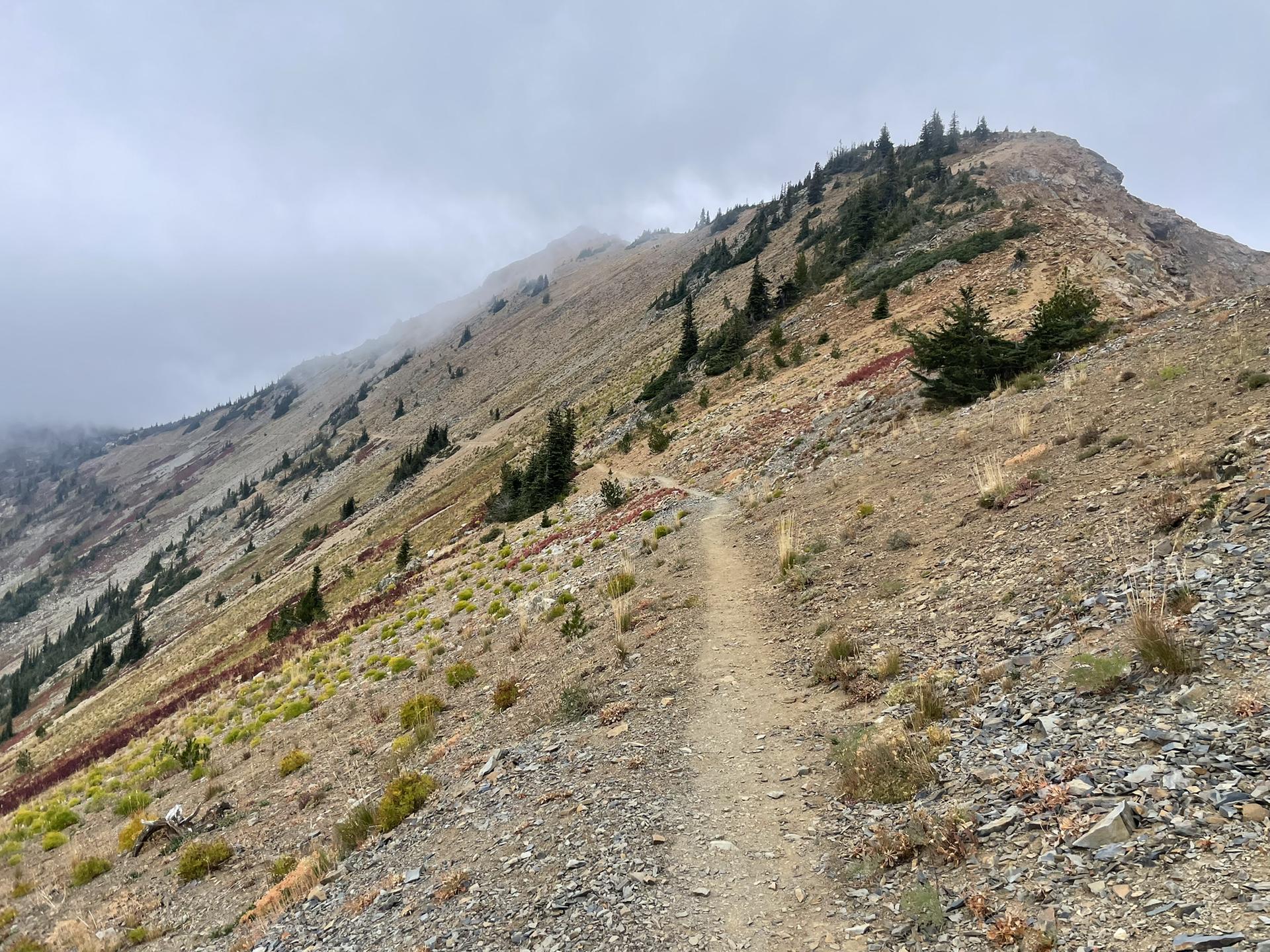 Dirt trail ascending a rocky, treed mountain slope under cloudy skies.