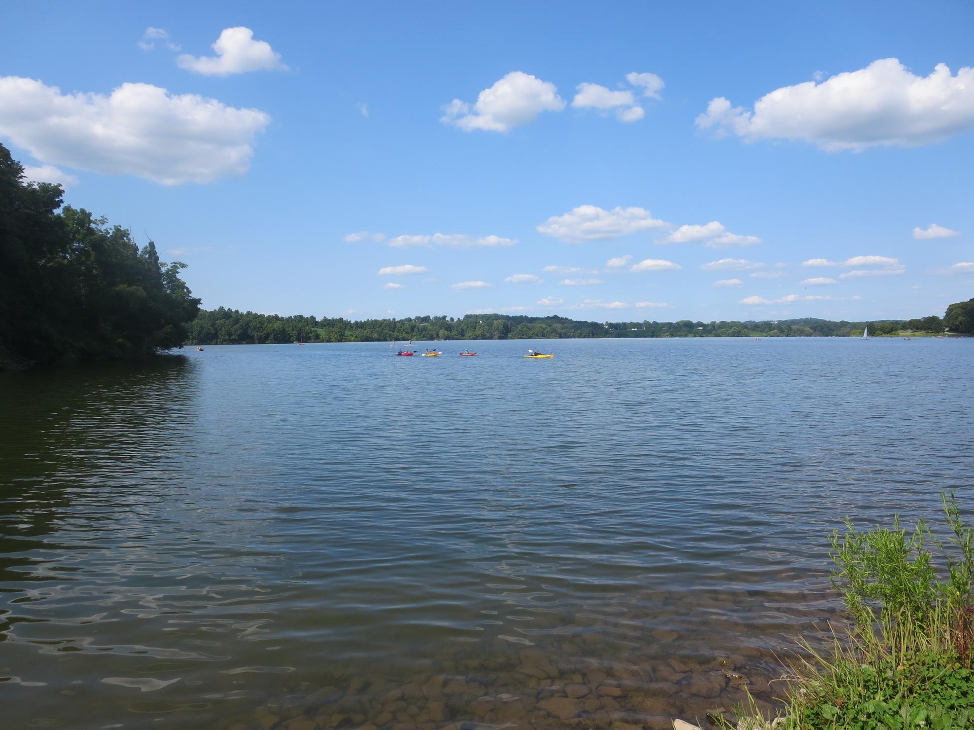 A wide lake with distant kayakers, forested shores, and a bright blue sky.