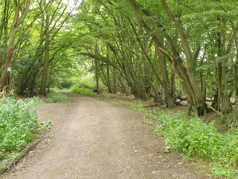 Epping Road to Banks lane gravel section fietsroutes en kaart Komoot