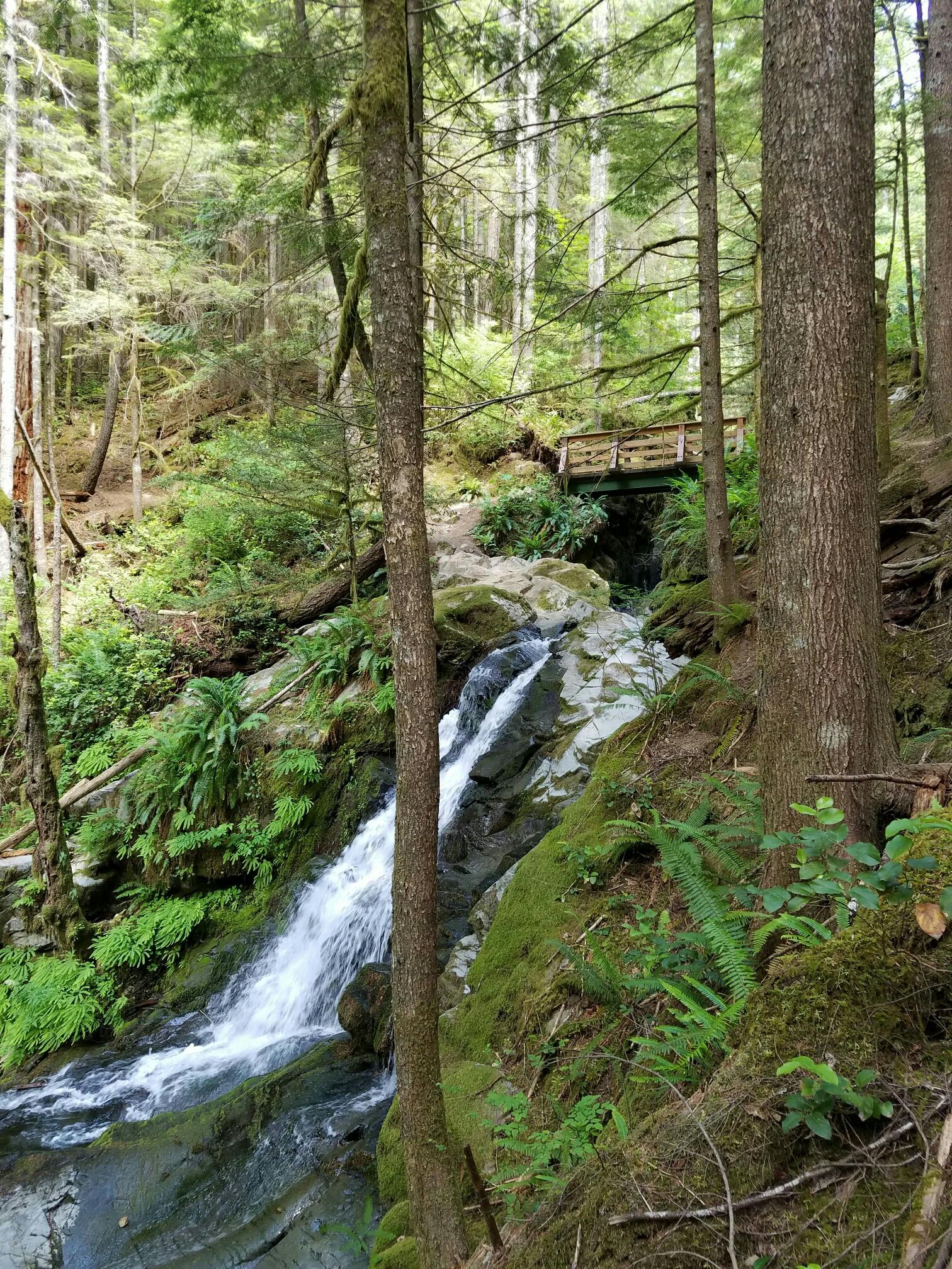 A waterfall cascades through a lush green forest with a wooden bridge above.